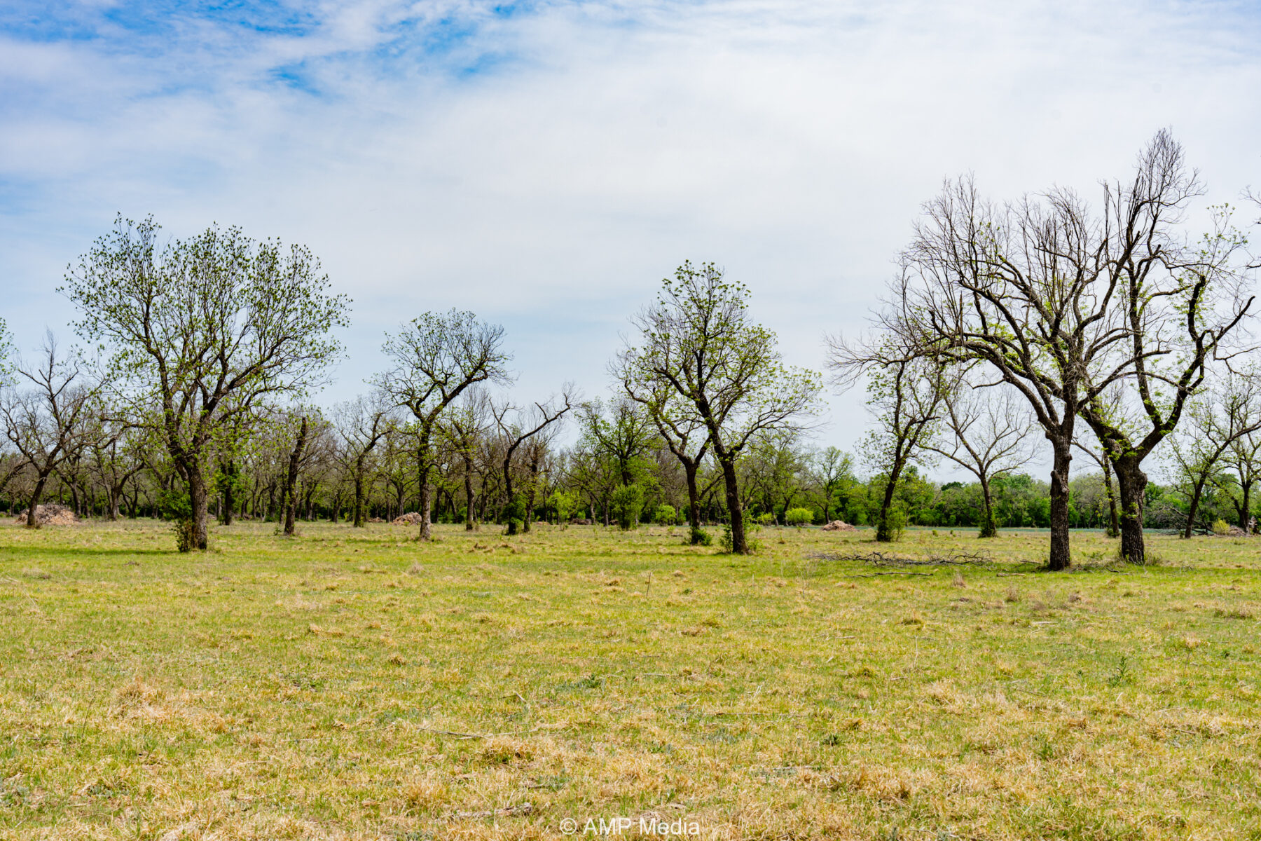Property Photo 13 Property photograph 13