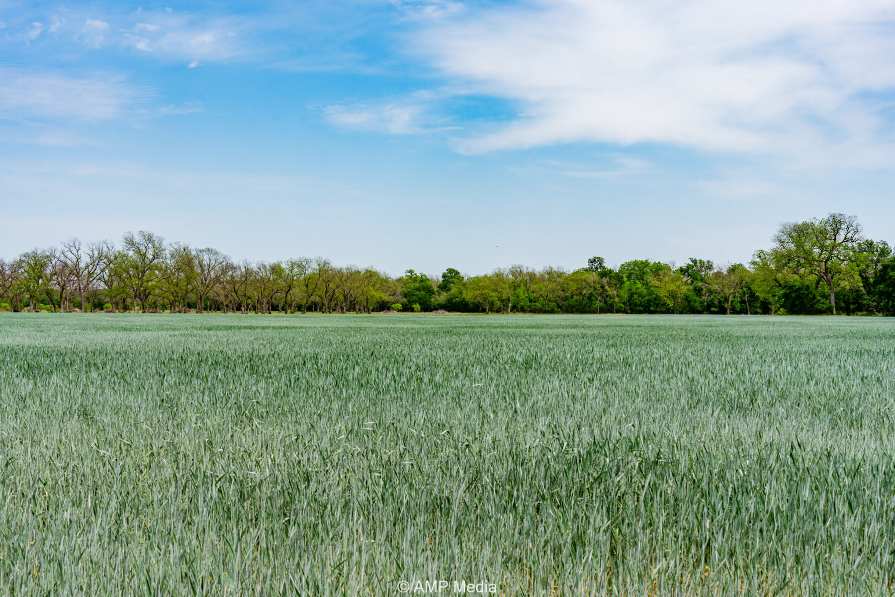 Property Photo 13 Property photograph 13