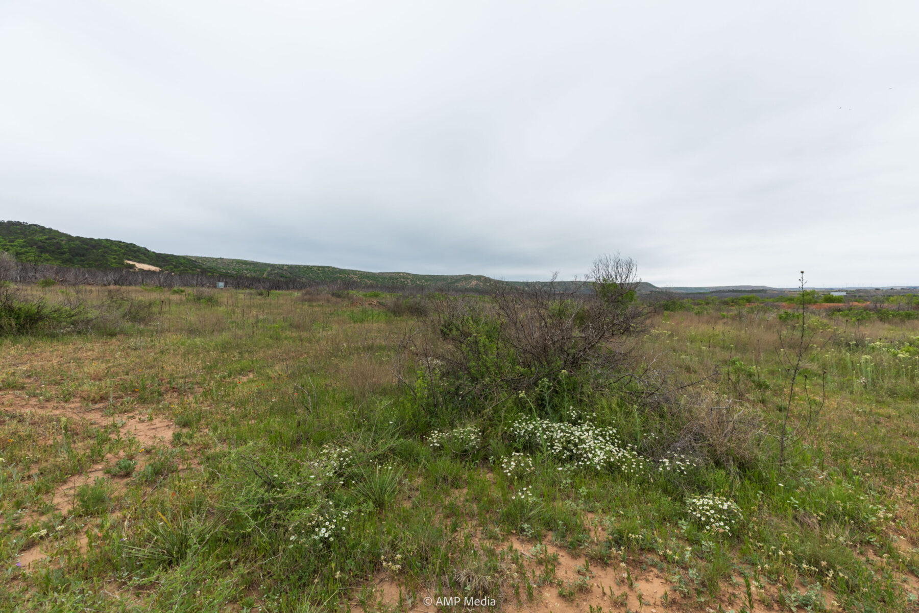 Property Photo 13 Property photograph 13