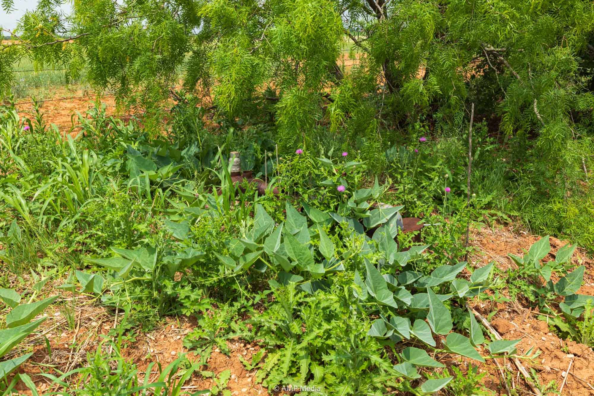 Property Photo 13 Property photograph 13