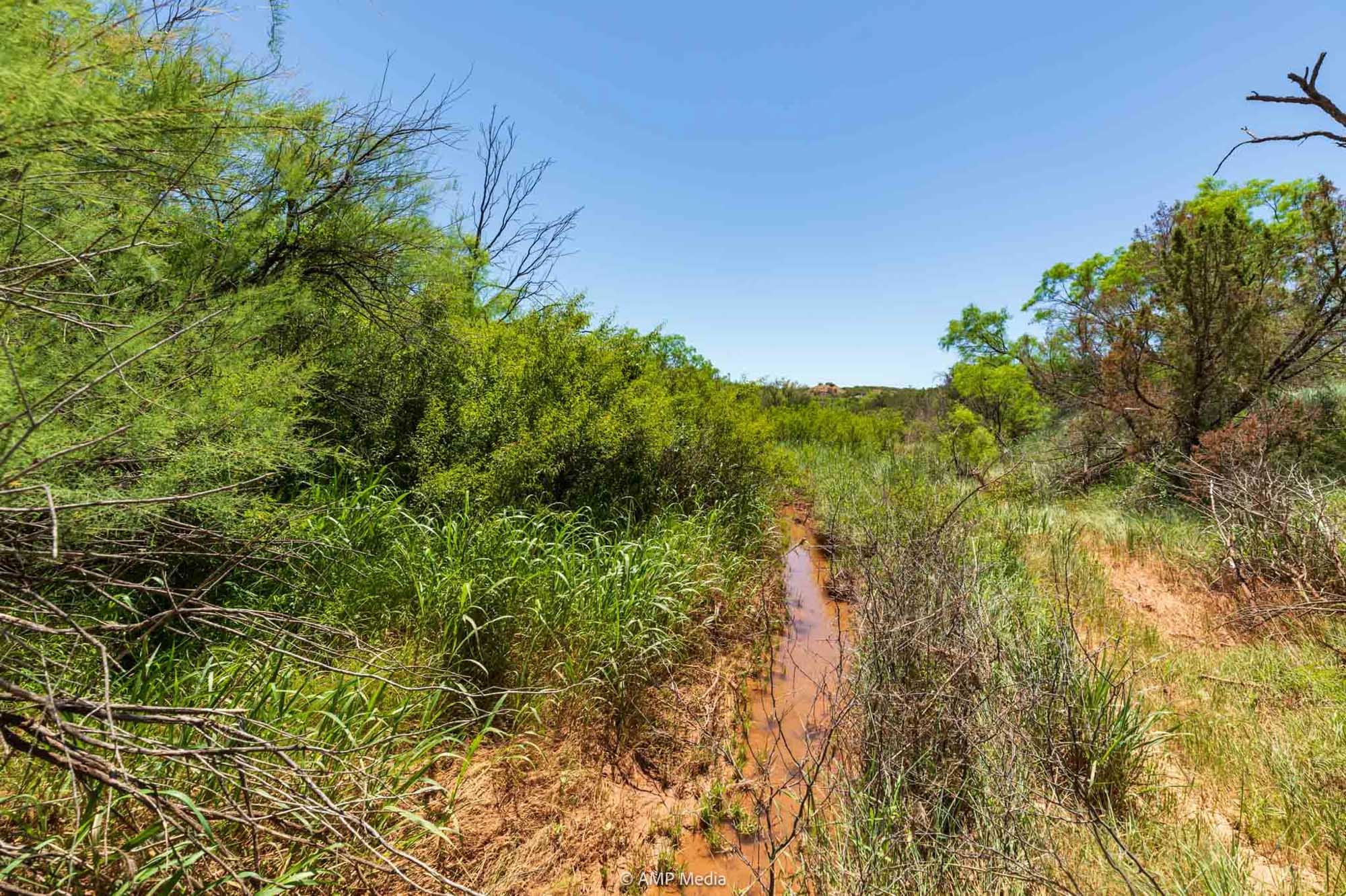 Property Photo 13 Property photograph 13