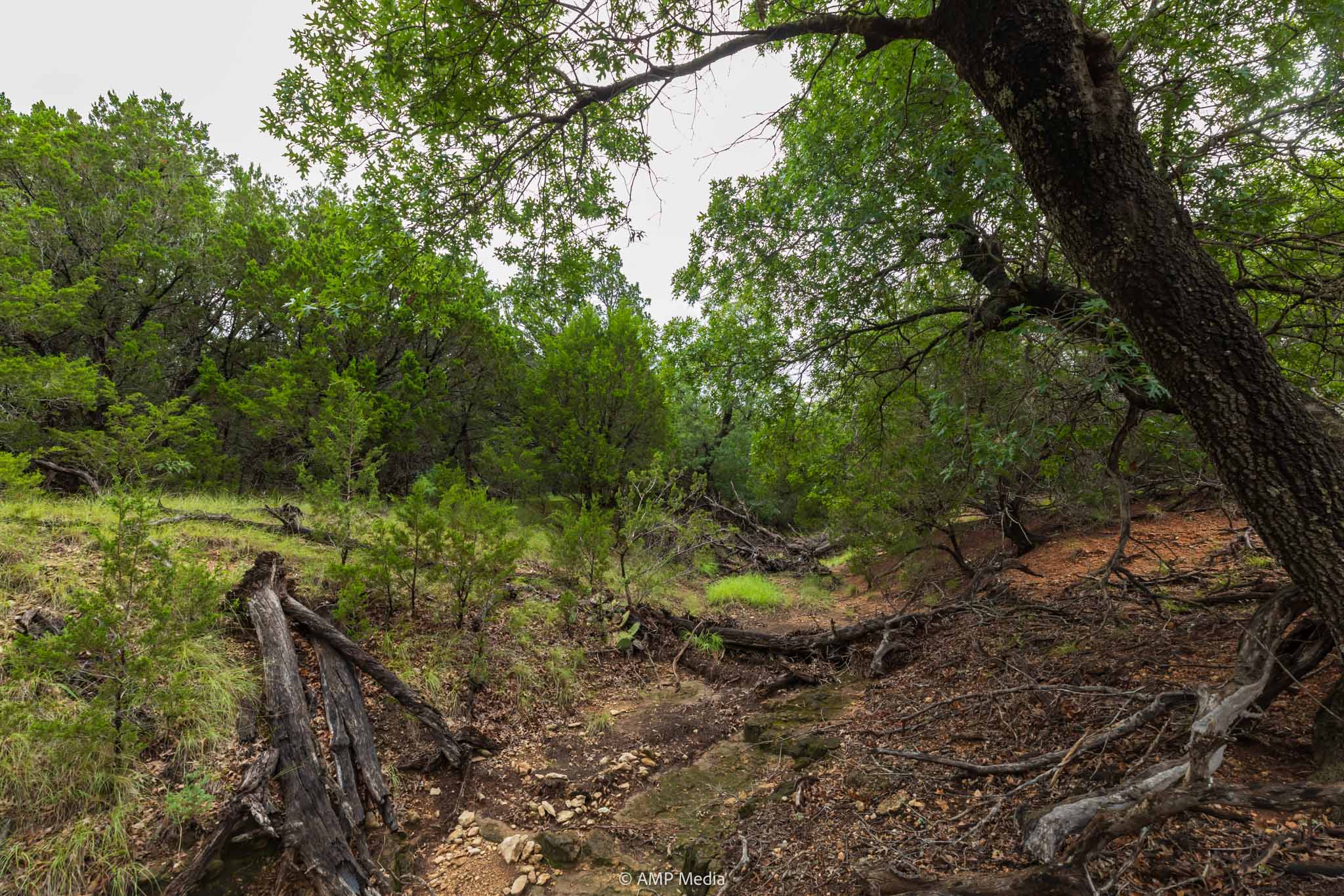 Property Photo 13 Property photograph 13