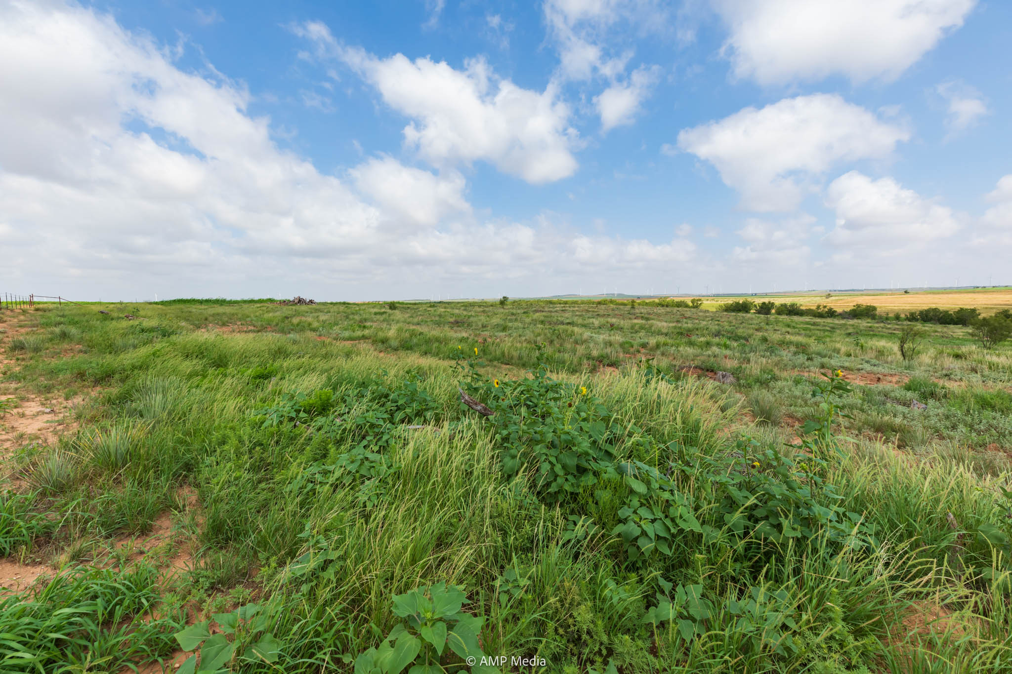 Property Photo 13 Property photograph 13