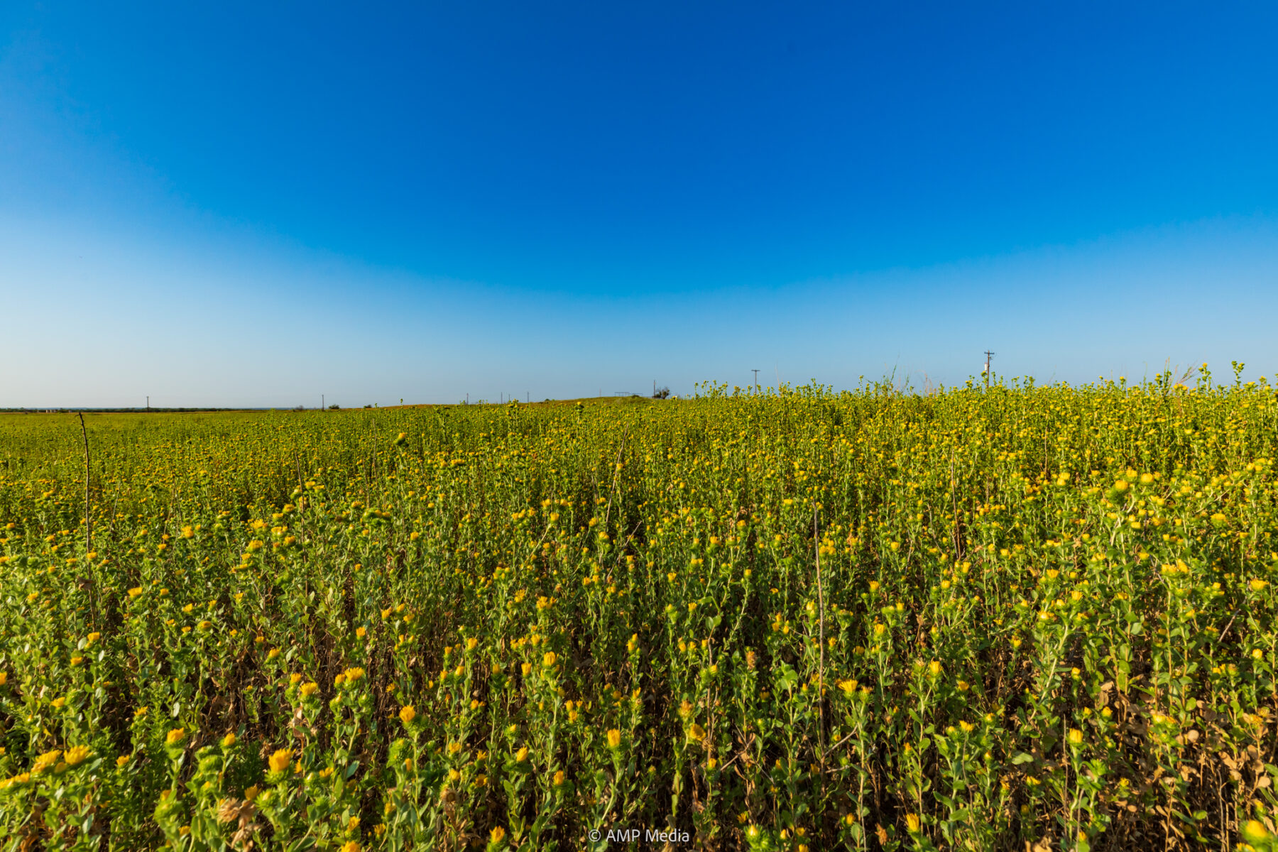 Property Photo 13 Property photograph 13