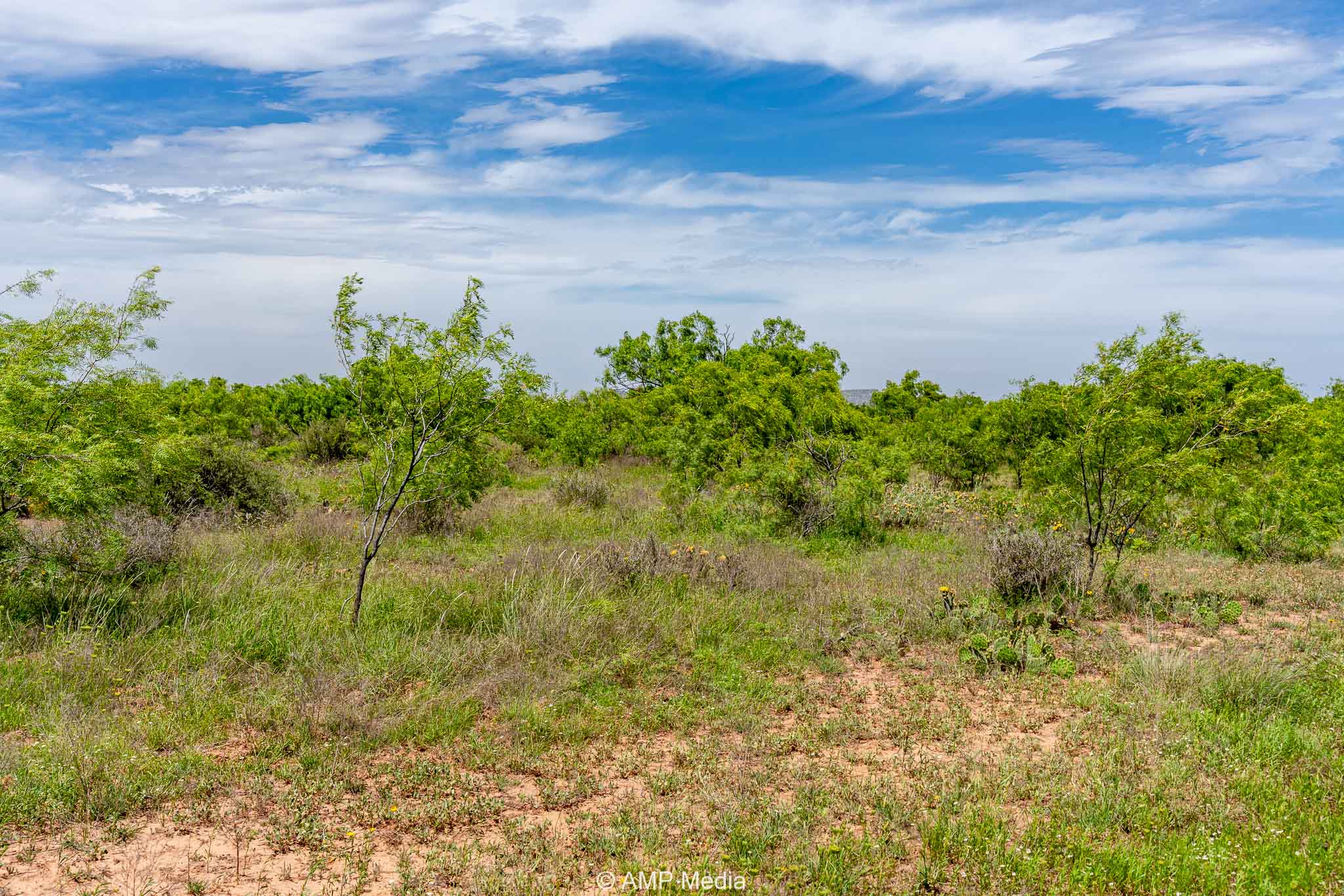 Property Photo 13 Property photograph 13