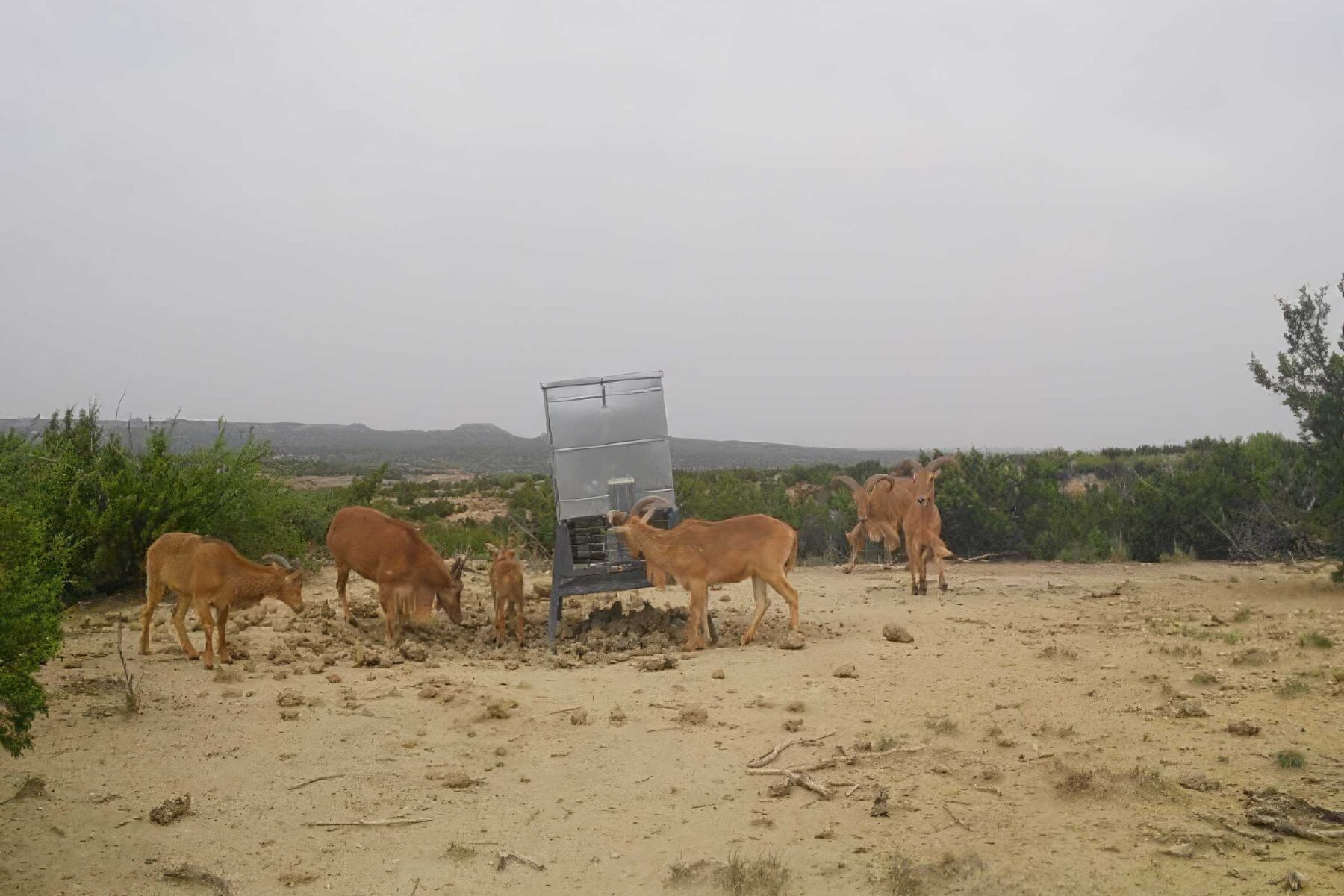 Property Photo 13 Property photograph 13