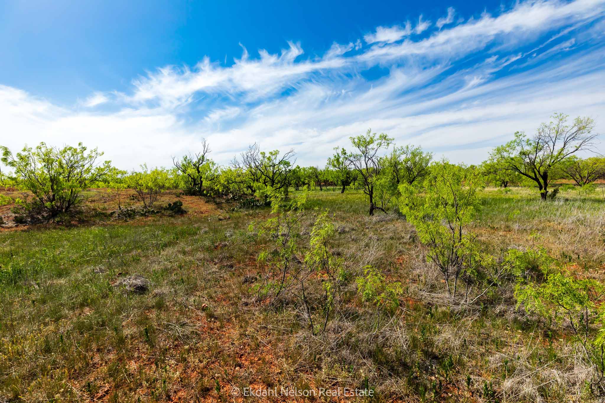 Property Photo 14 Property photograph 14