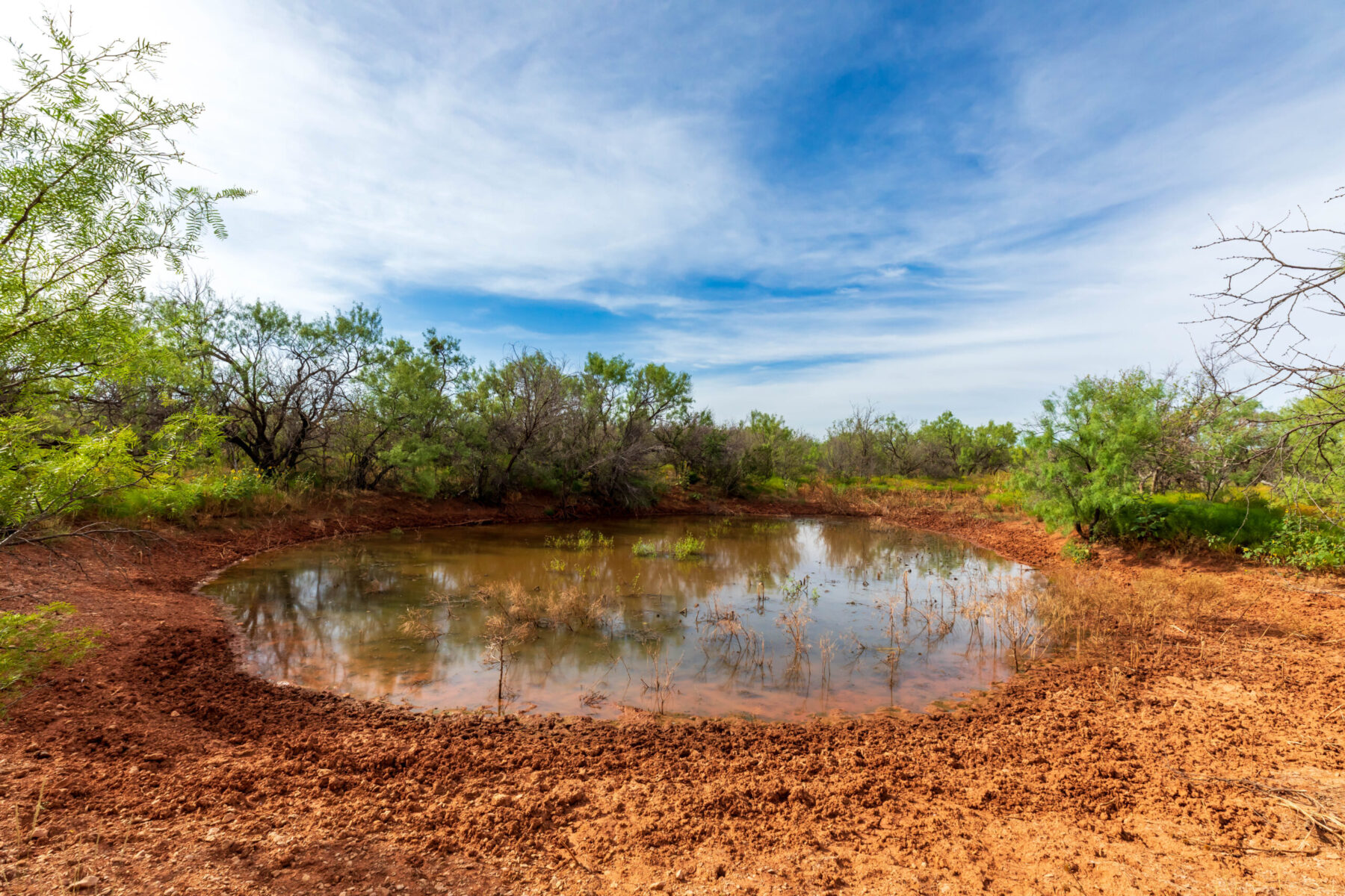 Property Photo 14 Property photograph 14