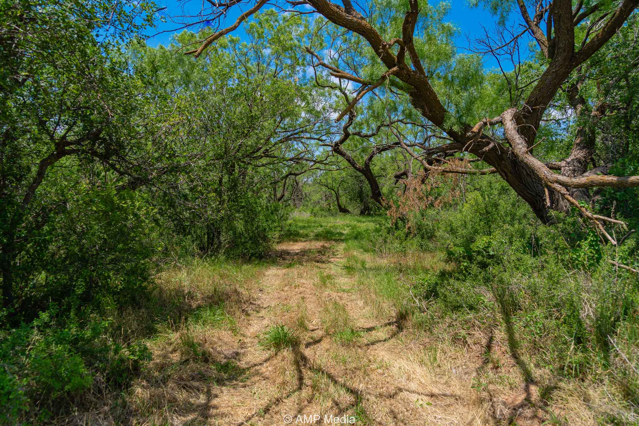 Property Photo 14 Property photograph 14