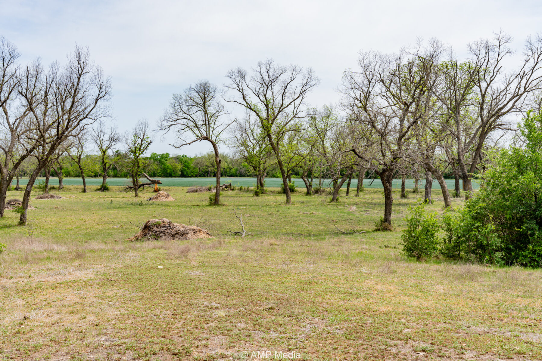Property Photo 14 Property photograph 14