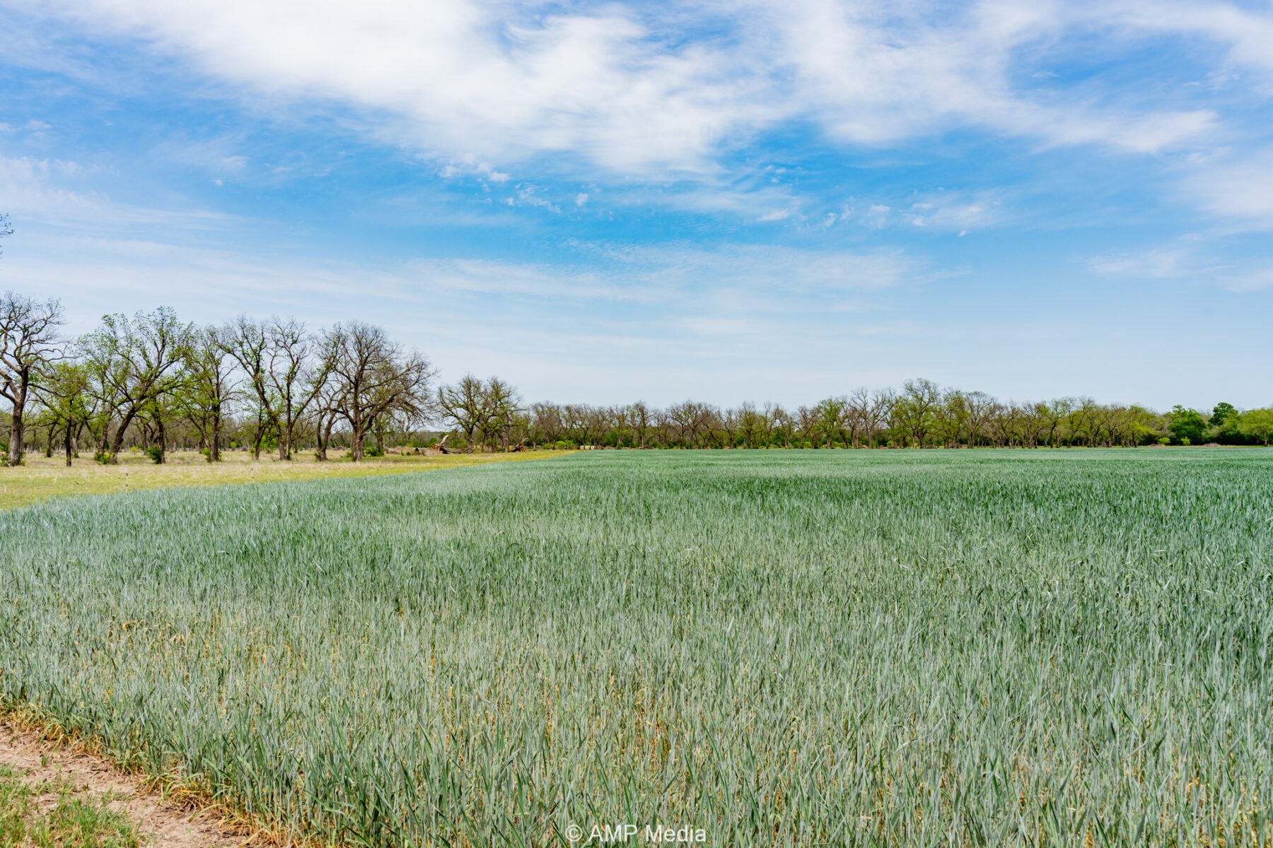 Property Photo 14 Property photograph 14