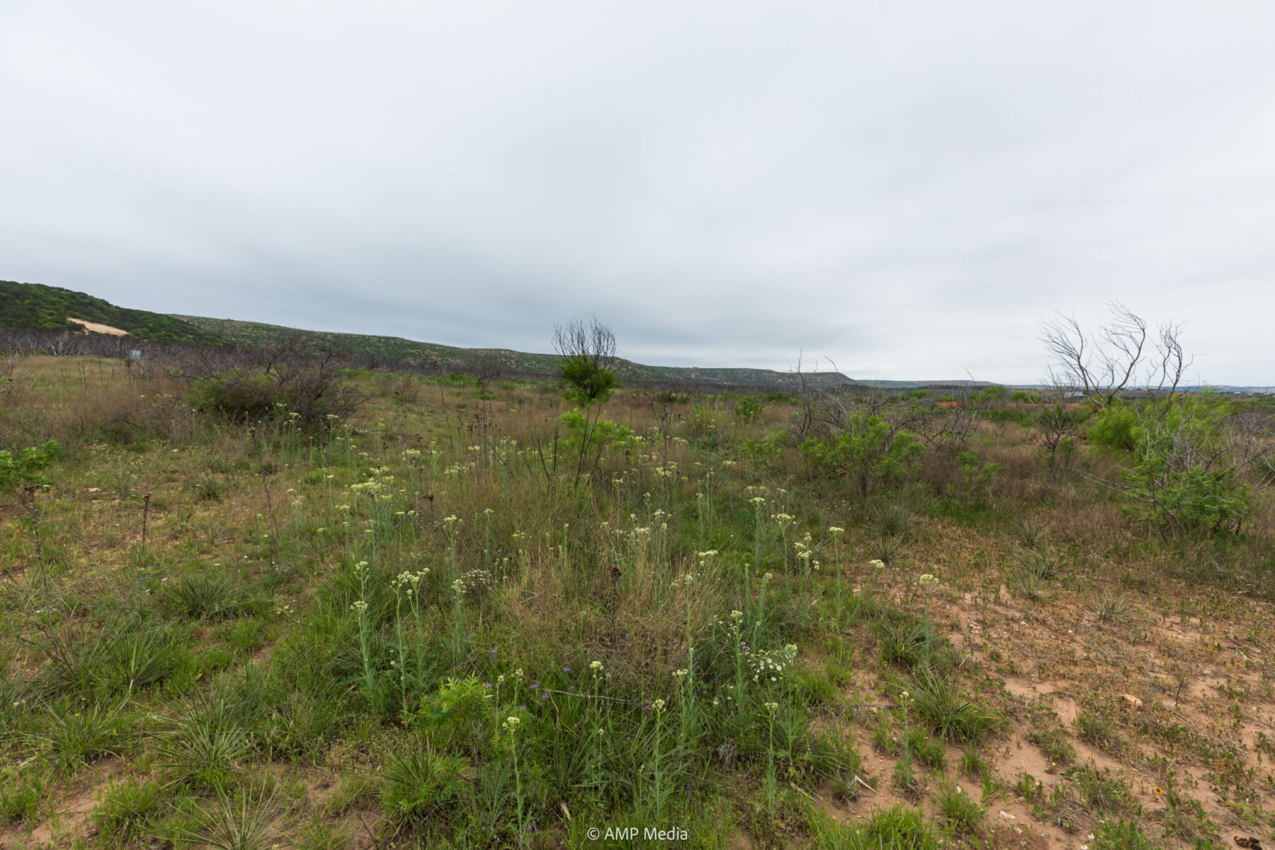 Property Photo 14 Property photograph 14