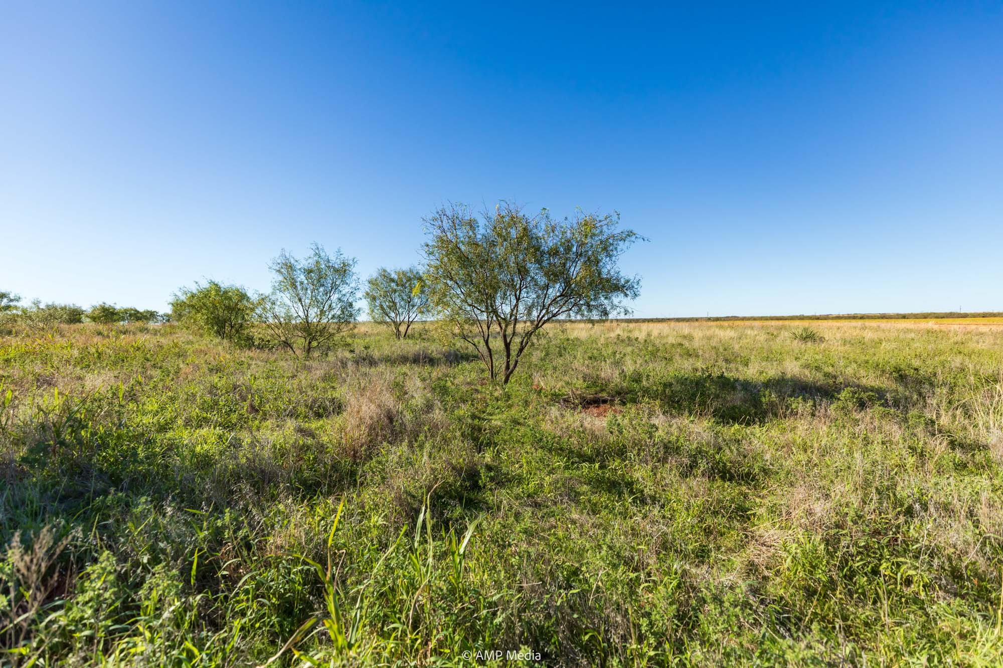 Property Photo 14 Property photograph 14