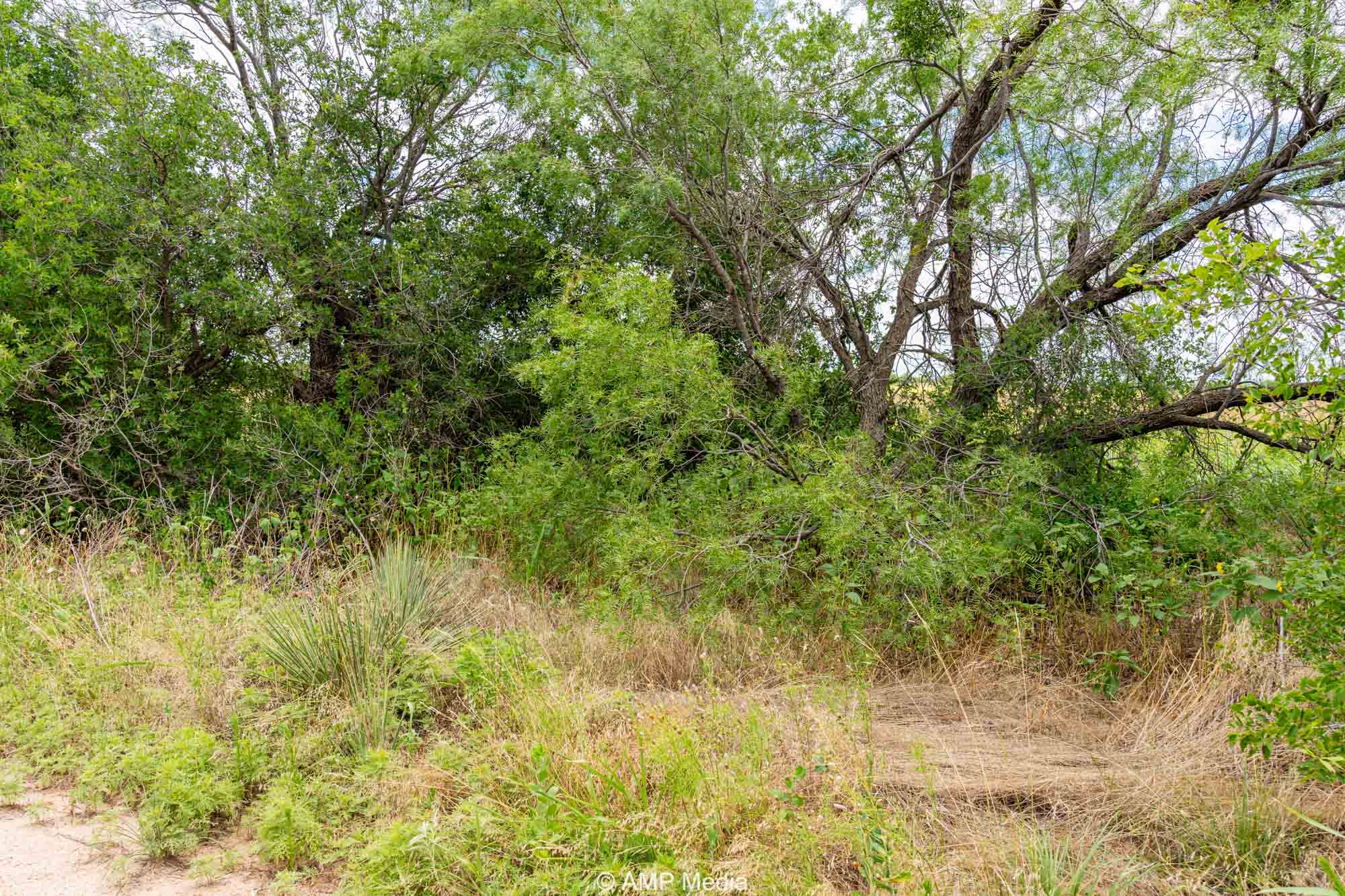 Property Photo 14 Property photograph 14