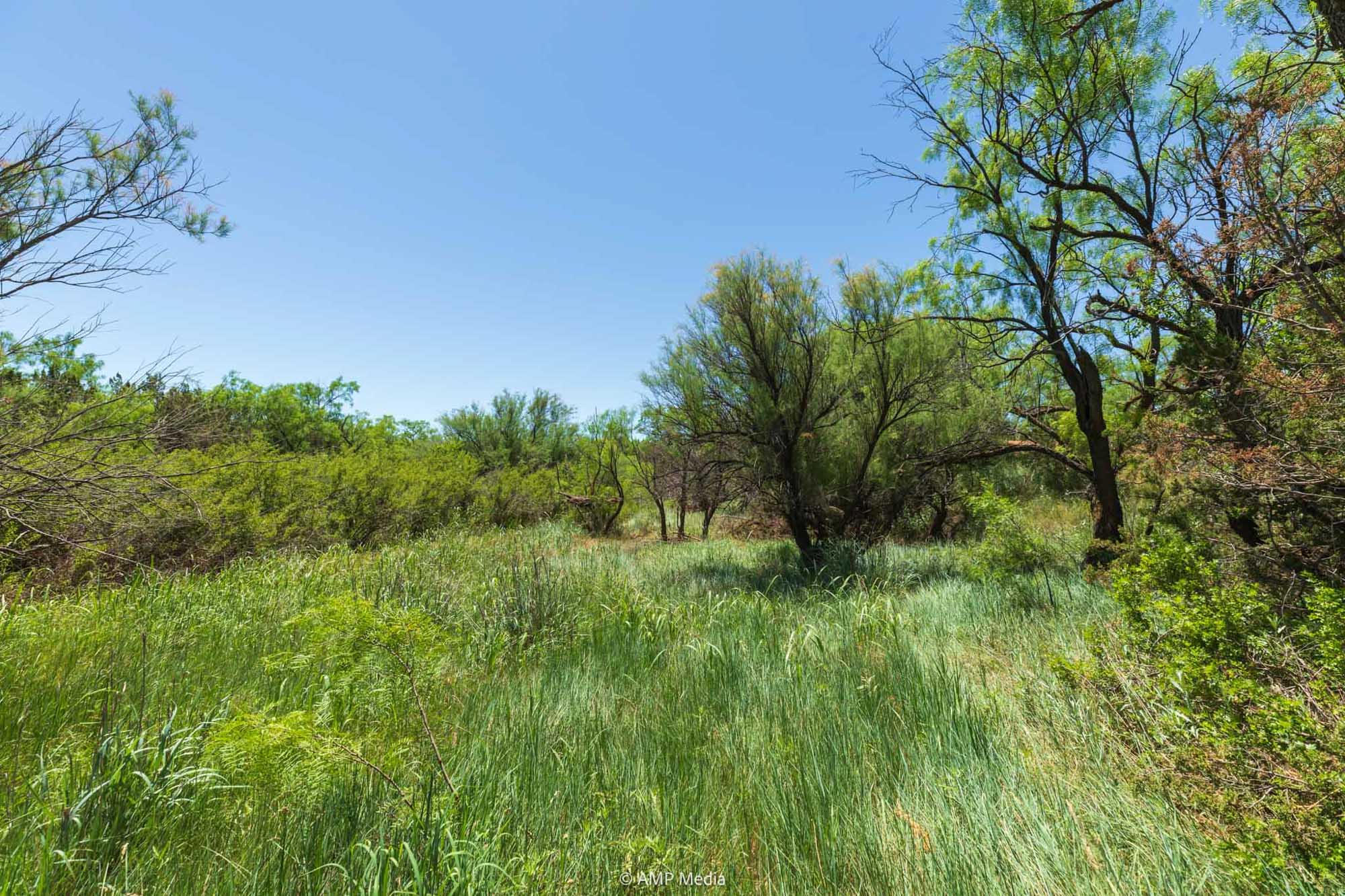 Property Photo 14 Property photograph 14