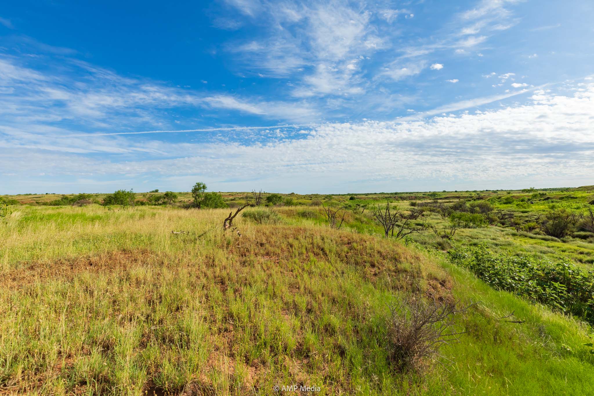Property Photo 14 Property photograph 14