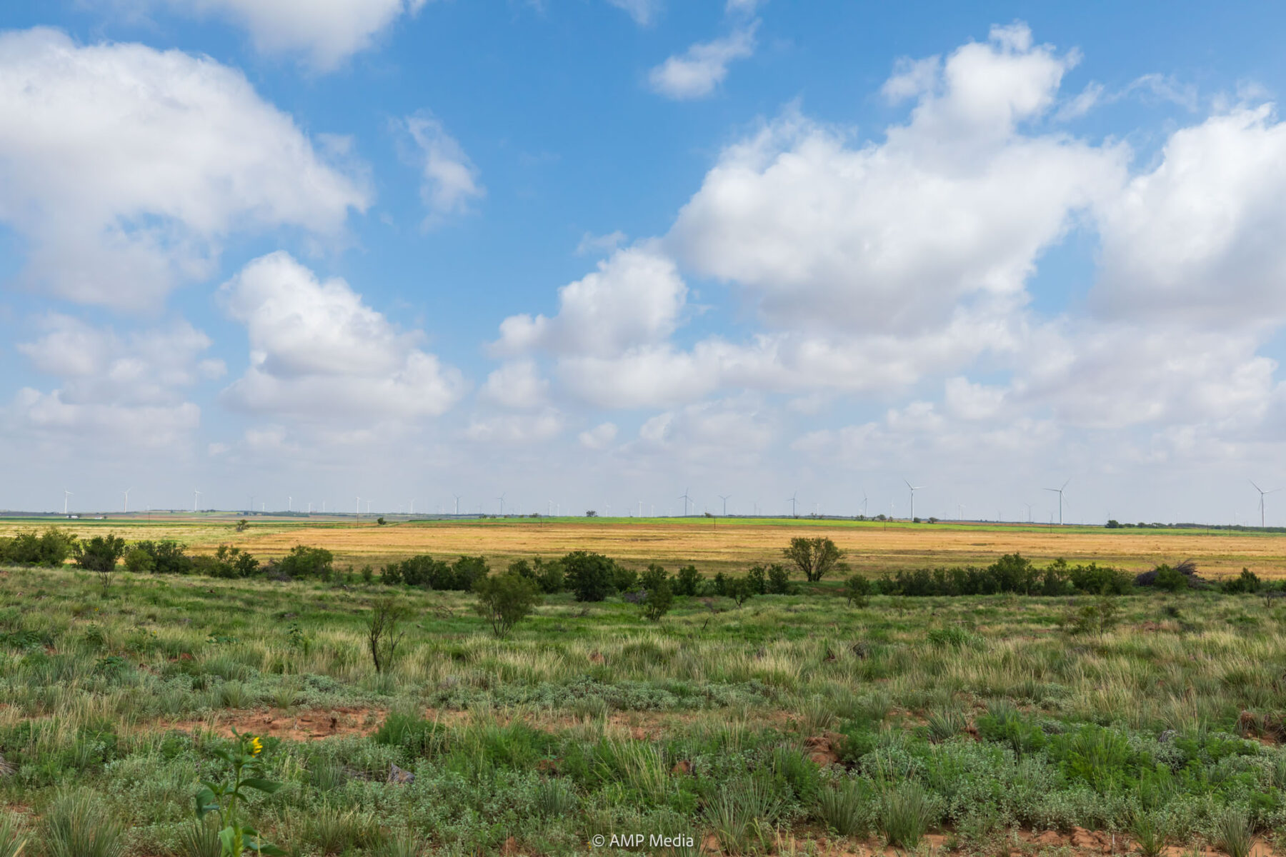 Property Photo 14 Property photograph 14