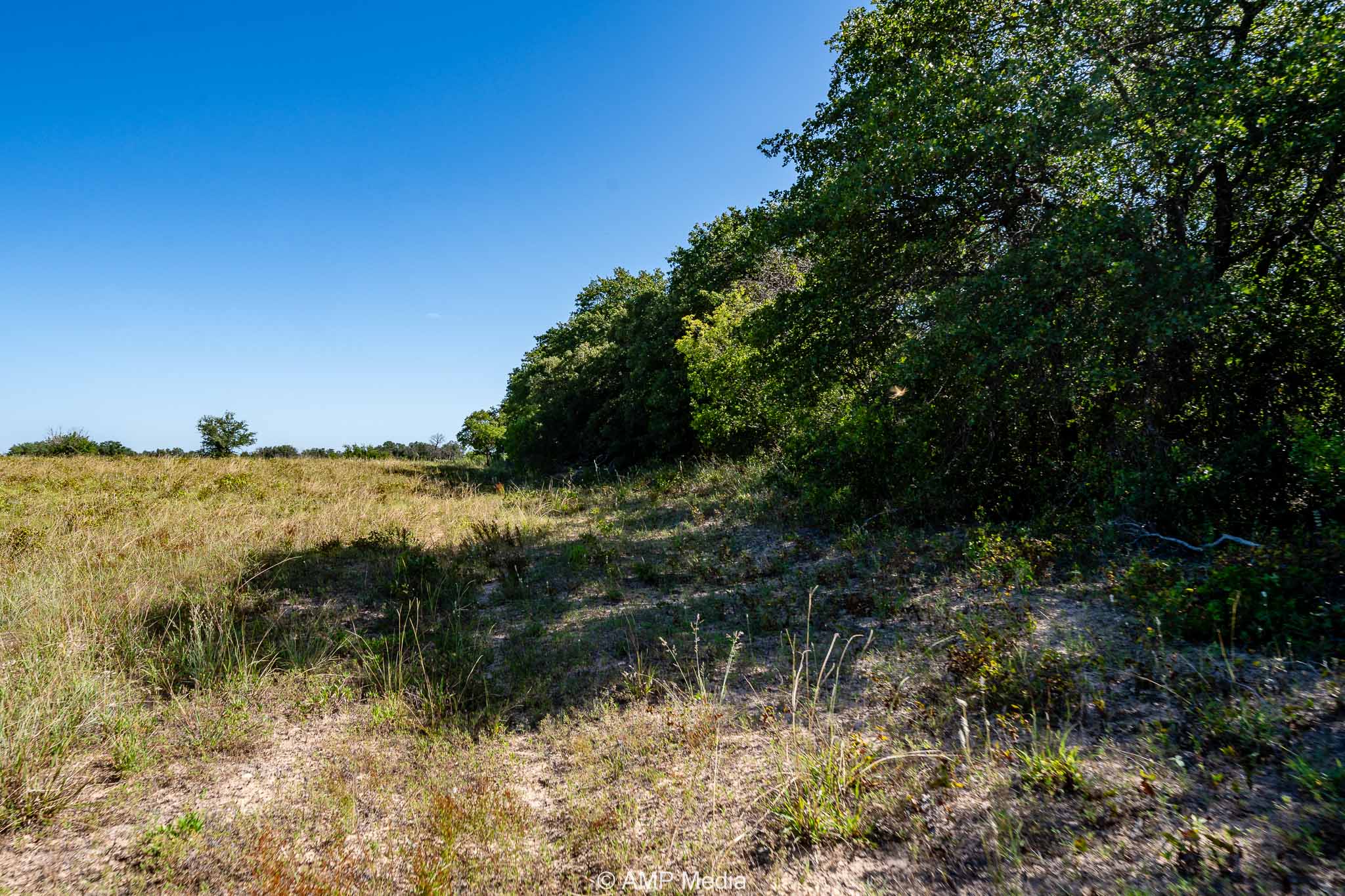 Property Photo 14 Property photograph 14