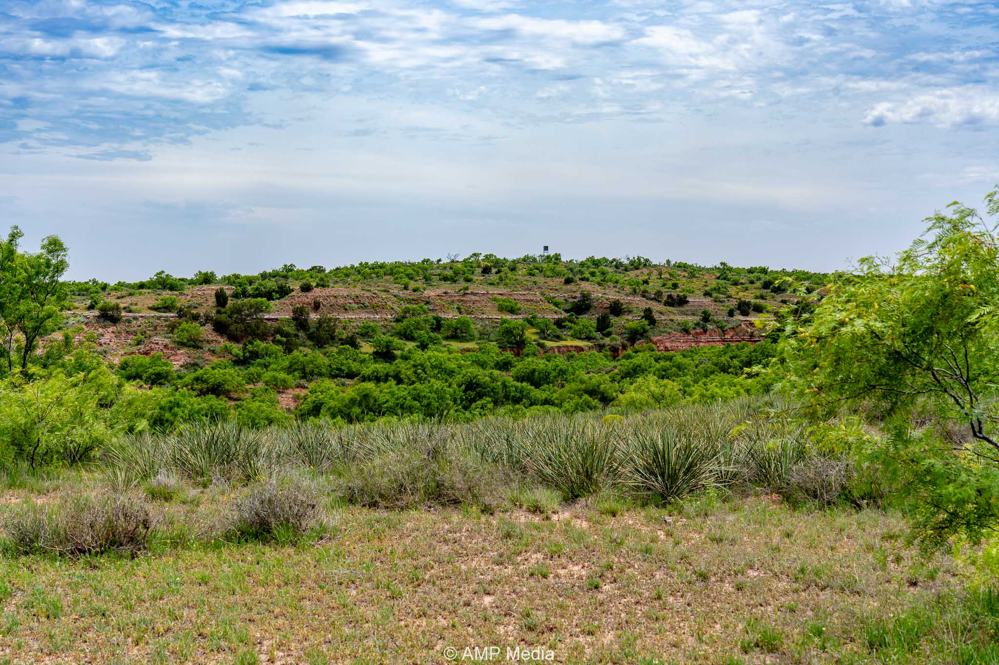 Property Photo 14 Property photograph 14