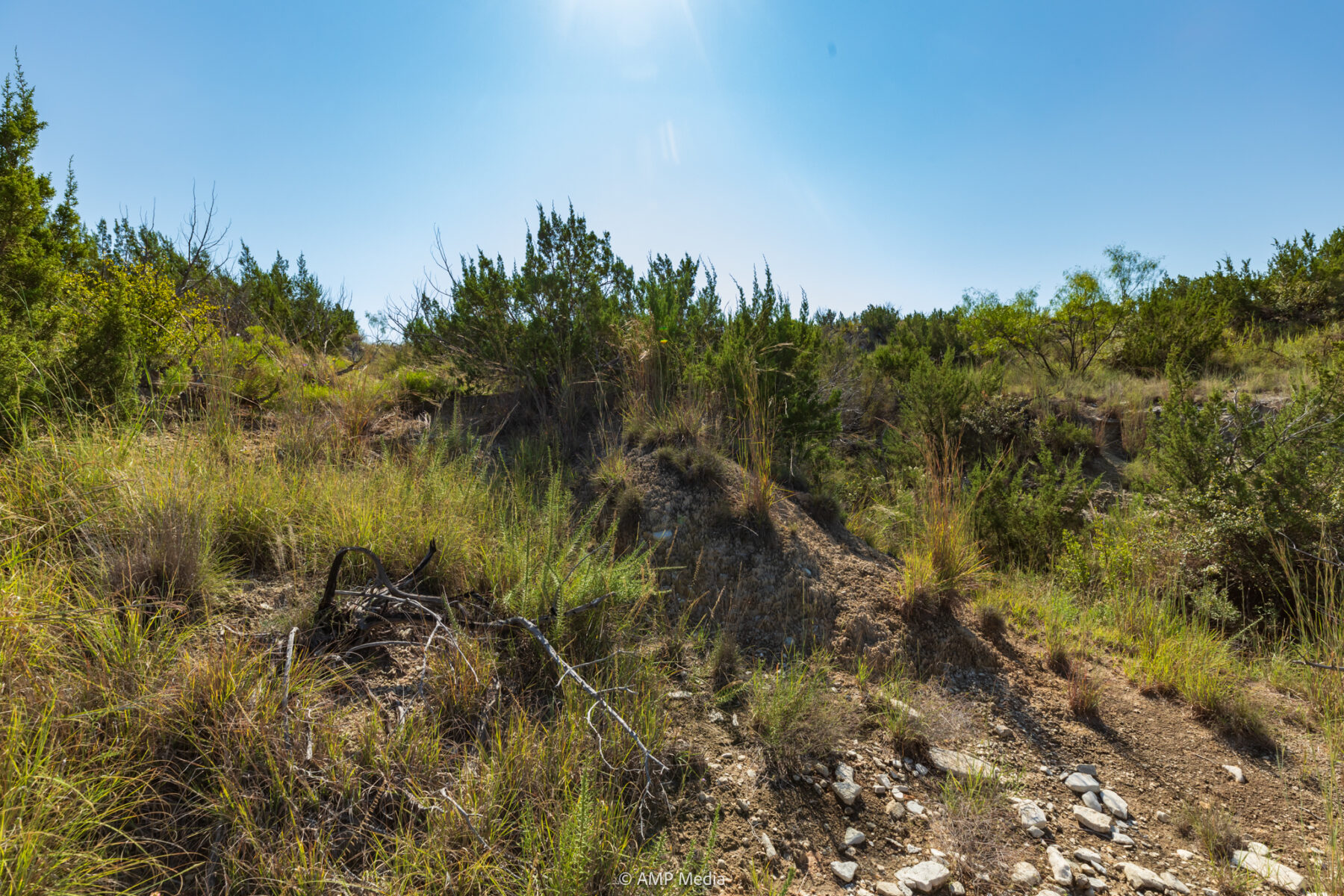 Property Photo 14 Property photograph 14