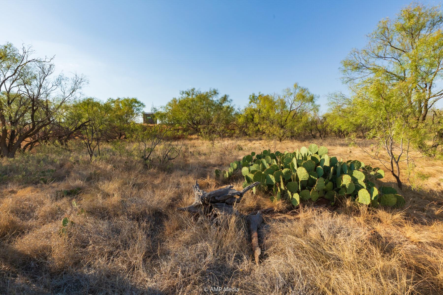 Property Photo 14 Property photograph 14