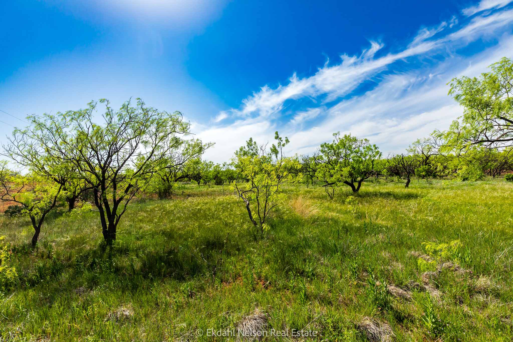 Property Photo 15 Property photograph 15