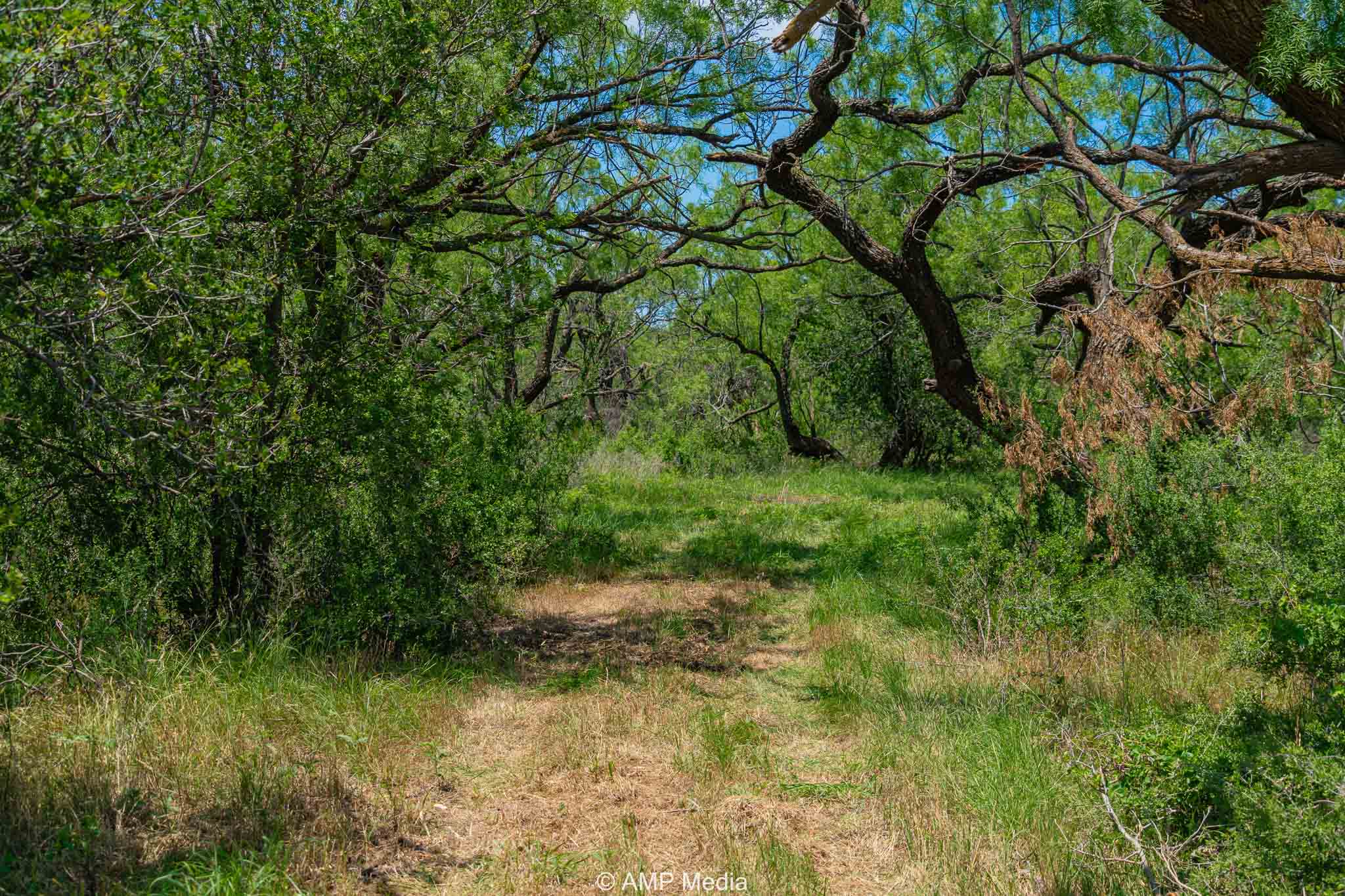 Property Photo 15 Property photograph 15