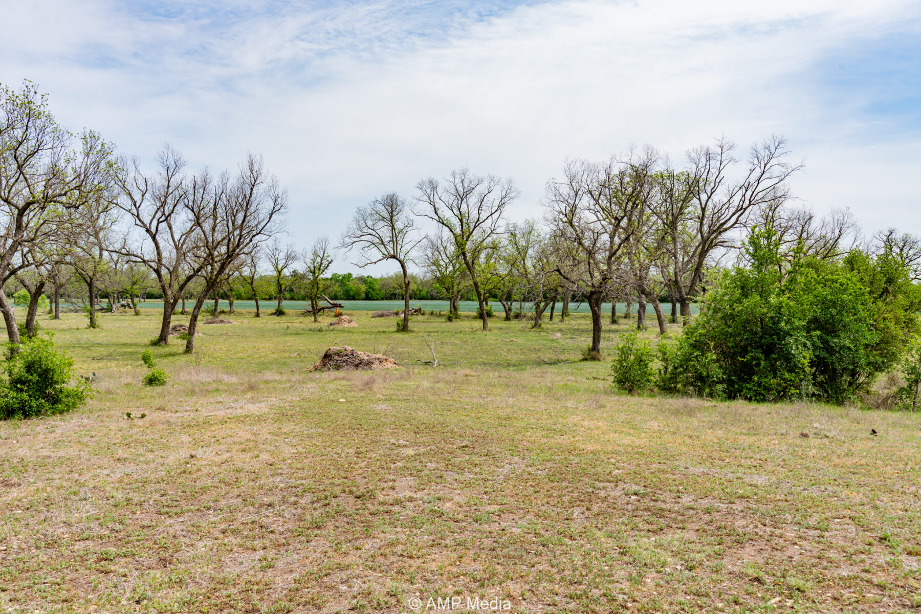 Property Photo 15 Property photograph 15