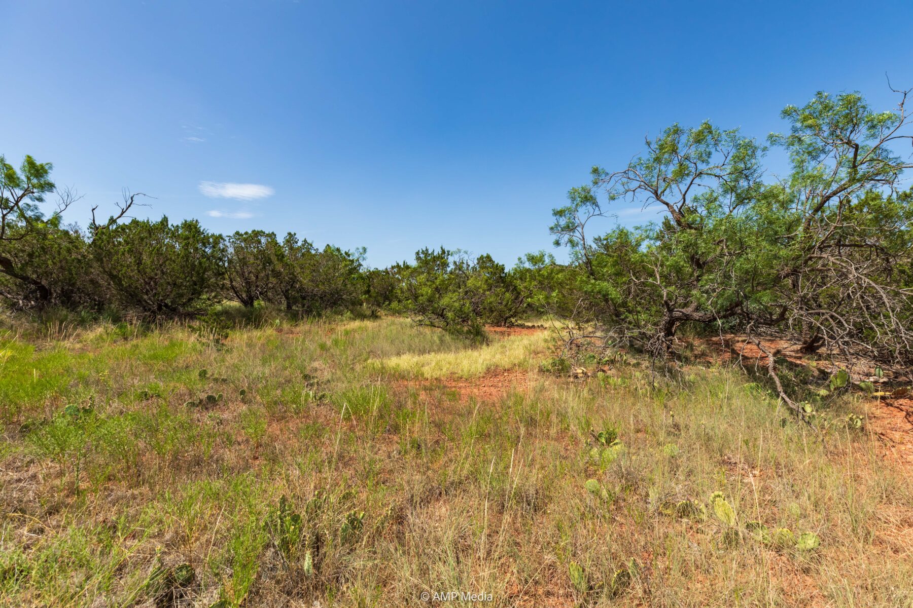 Property Photo 15 Property photograph 15