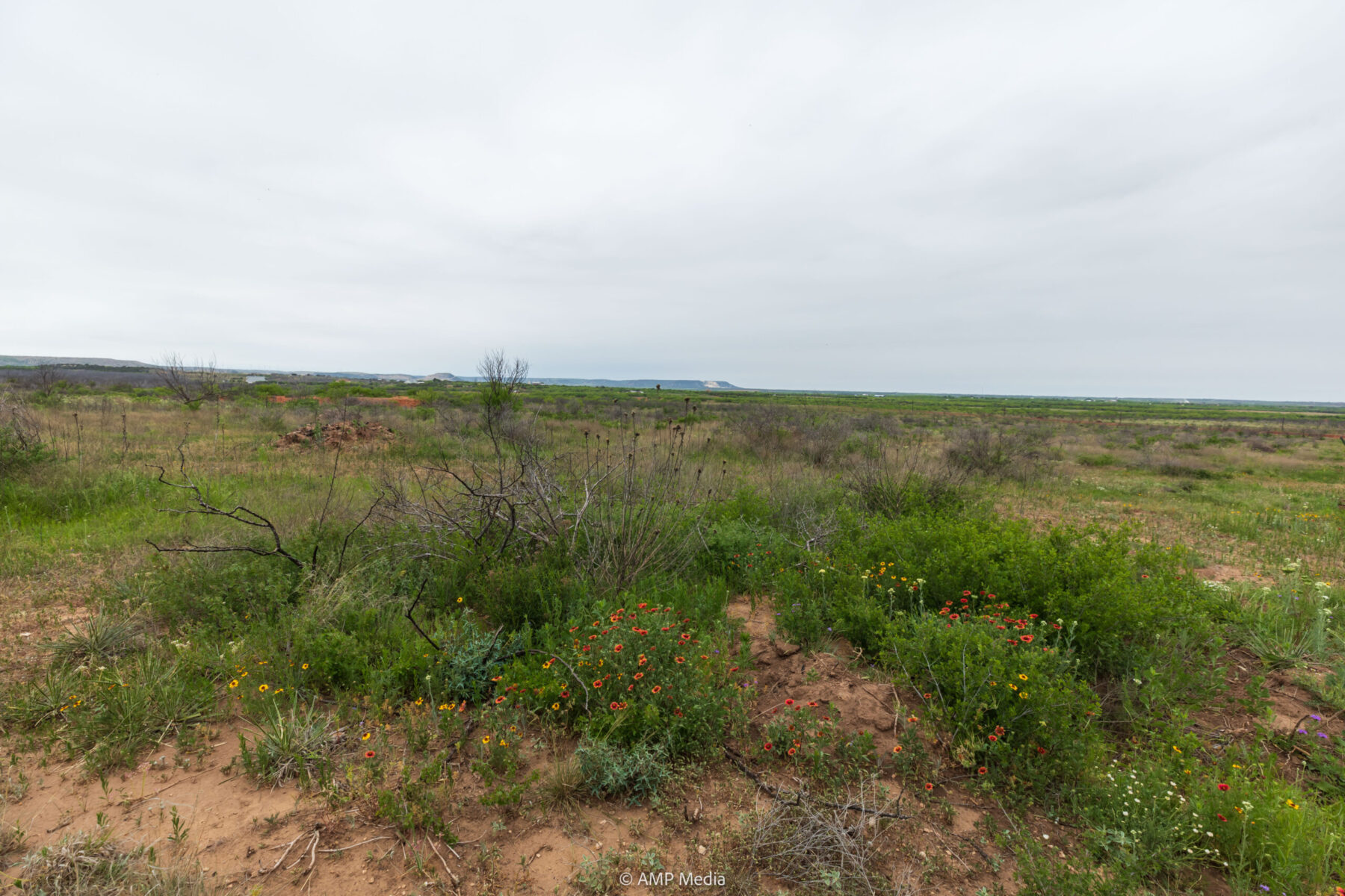 Property Photo 15 Property photograph 15