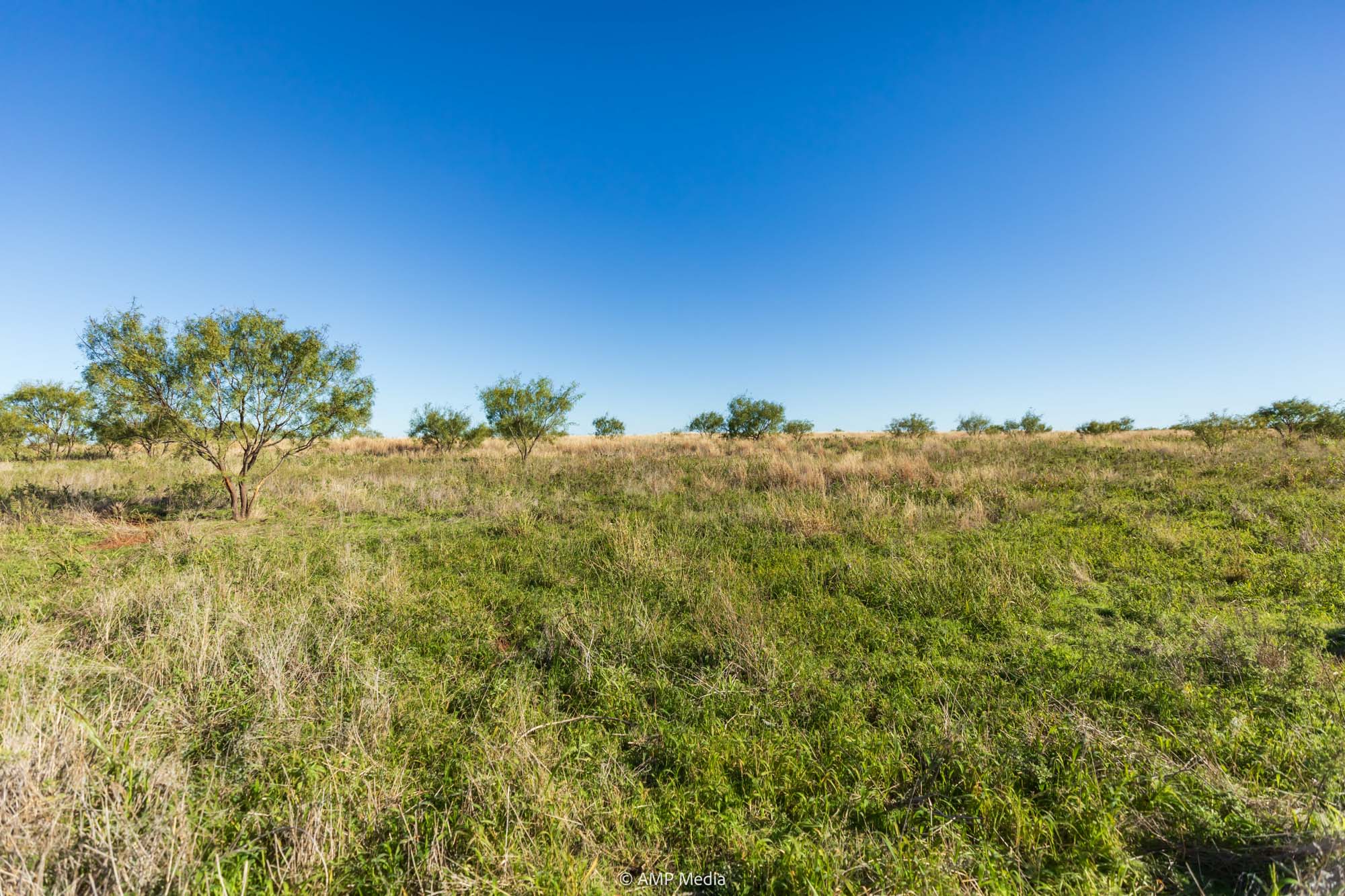 Property Photo 15 Property photograph 15