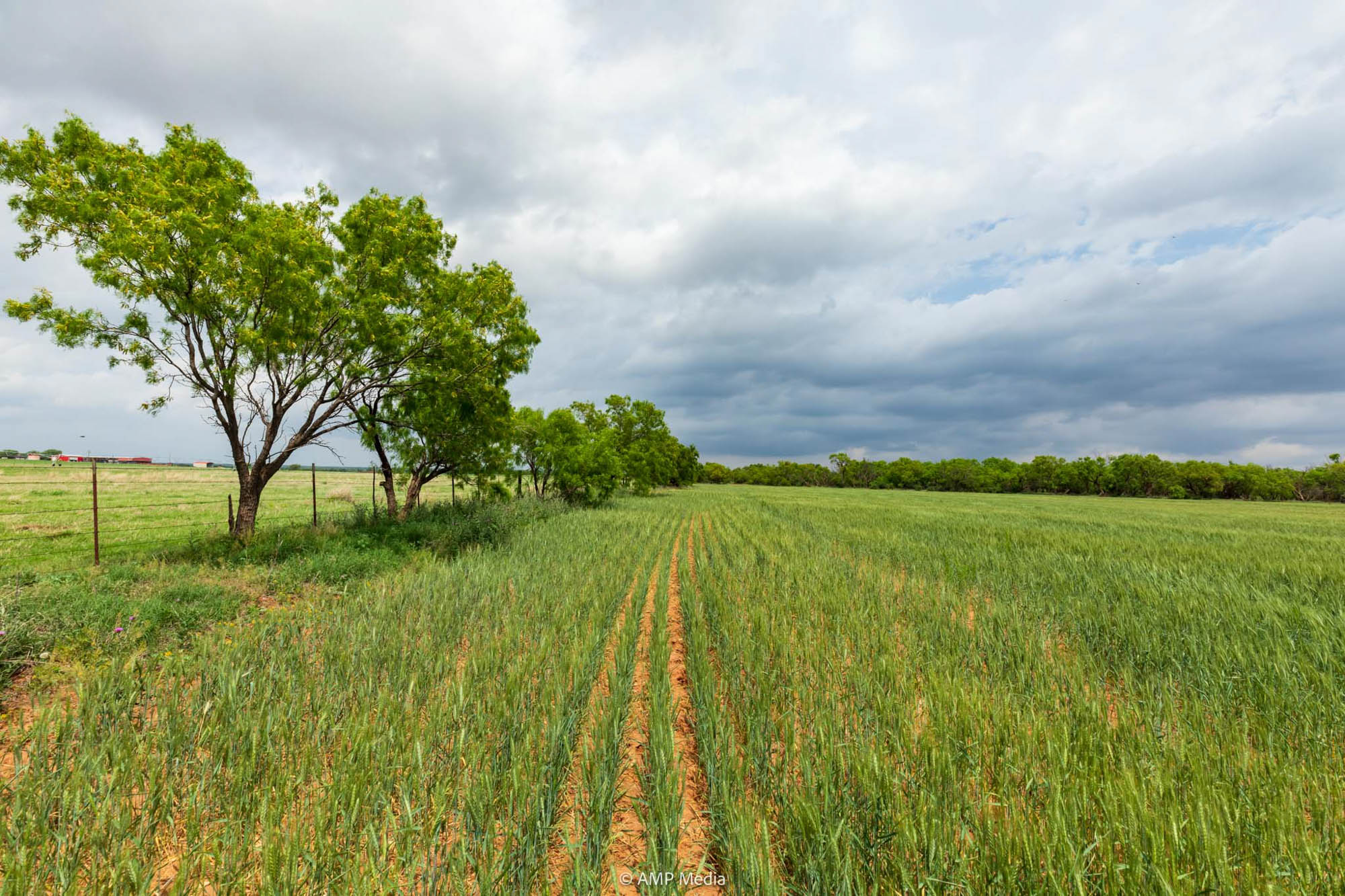 Property Photo 15 Property photograph 15