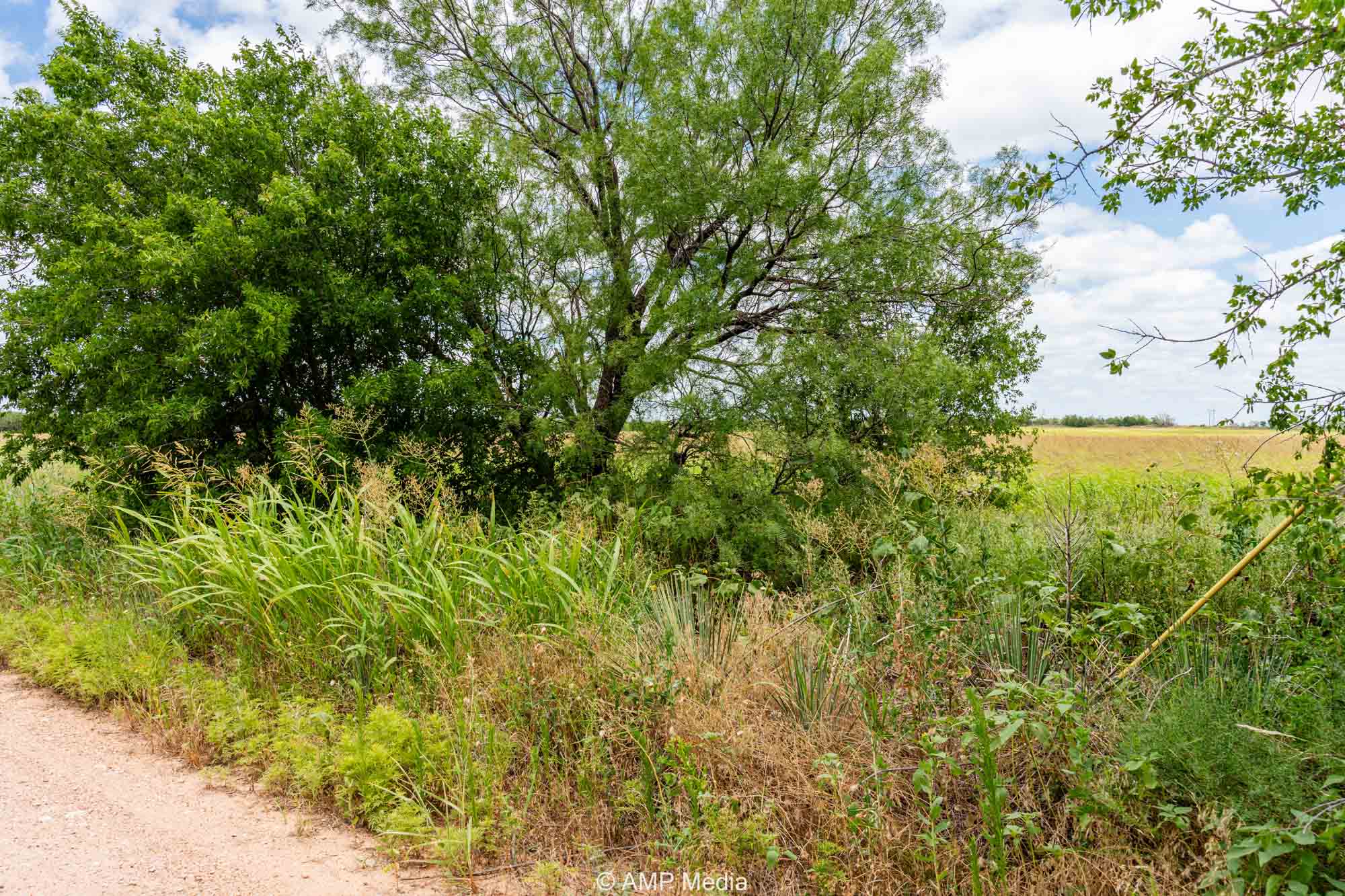 Property Photo 15 Property photograph 15