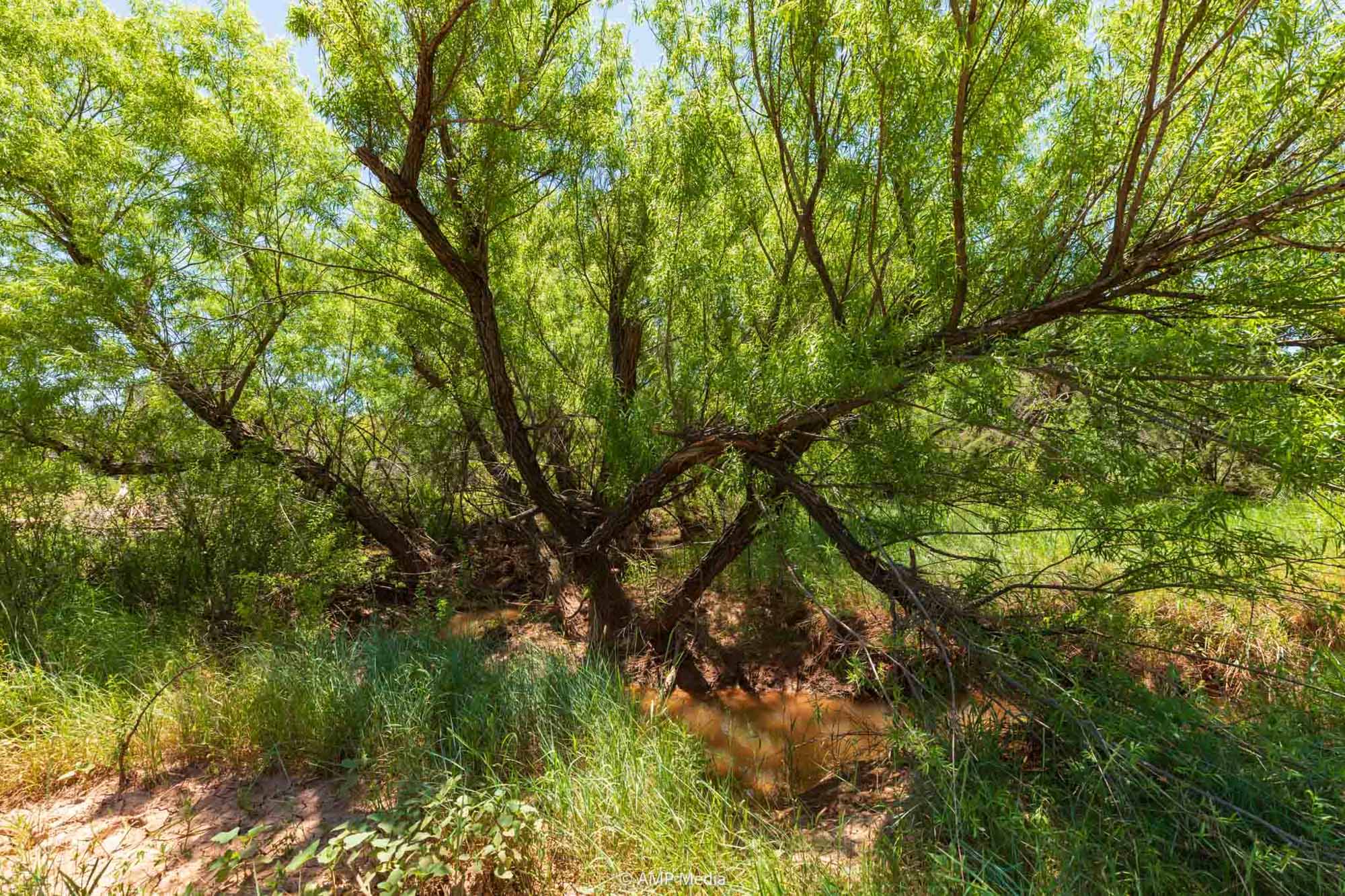 Property Photo 15 Property photograph 15