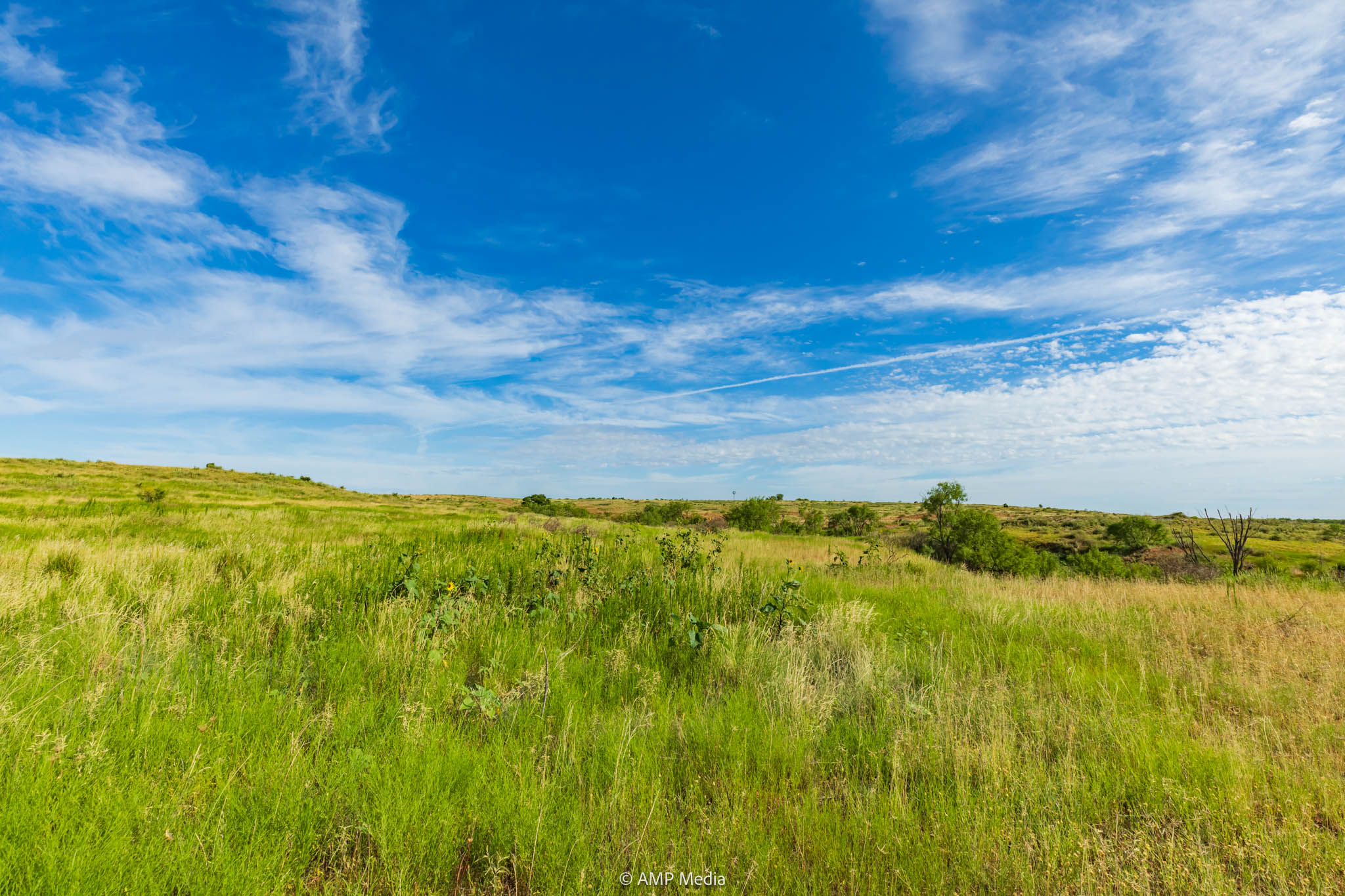 Property Photo 15 Property photograph 15