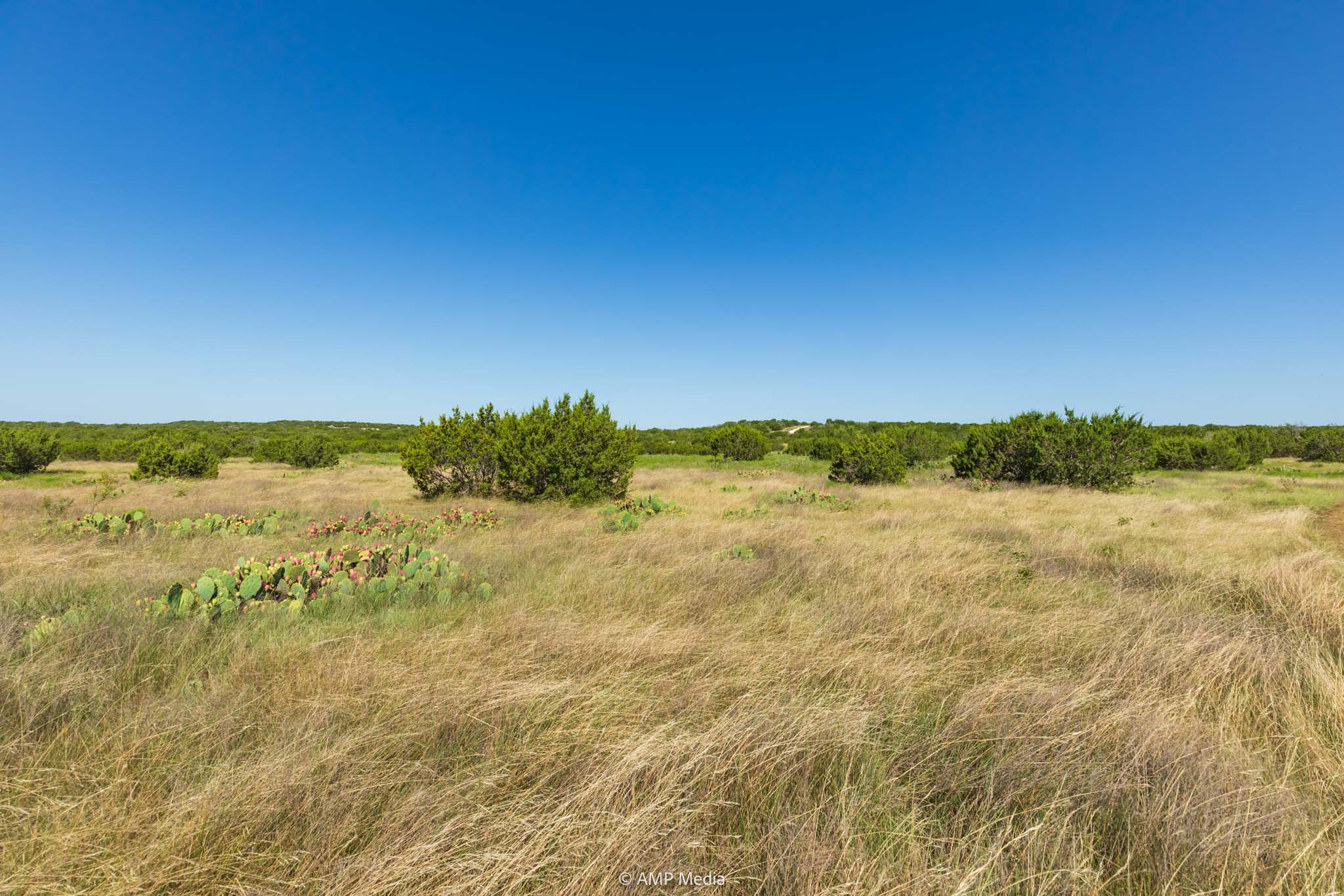 Property Photo 15 Property photograph 15