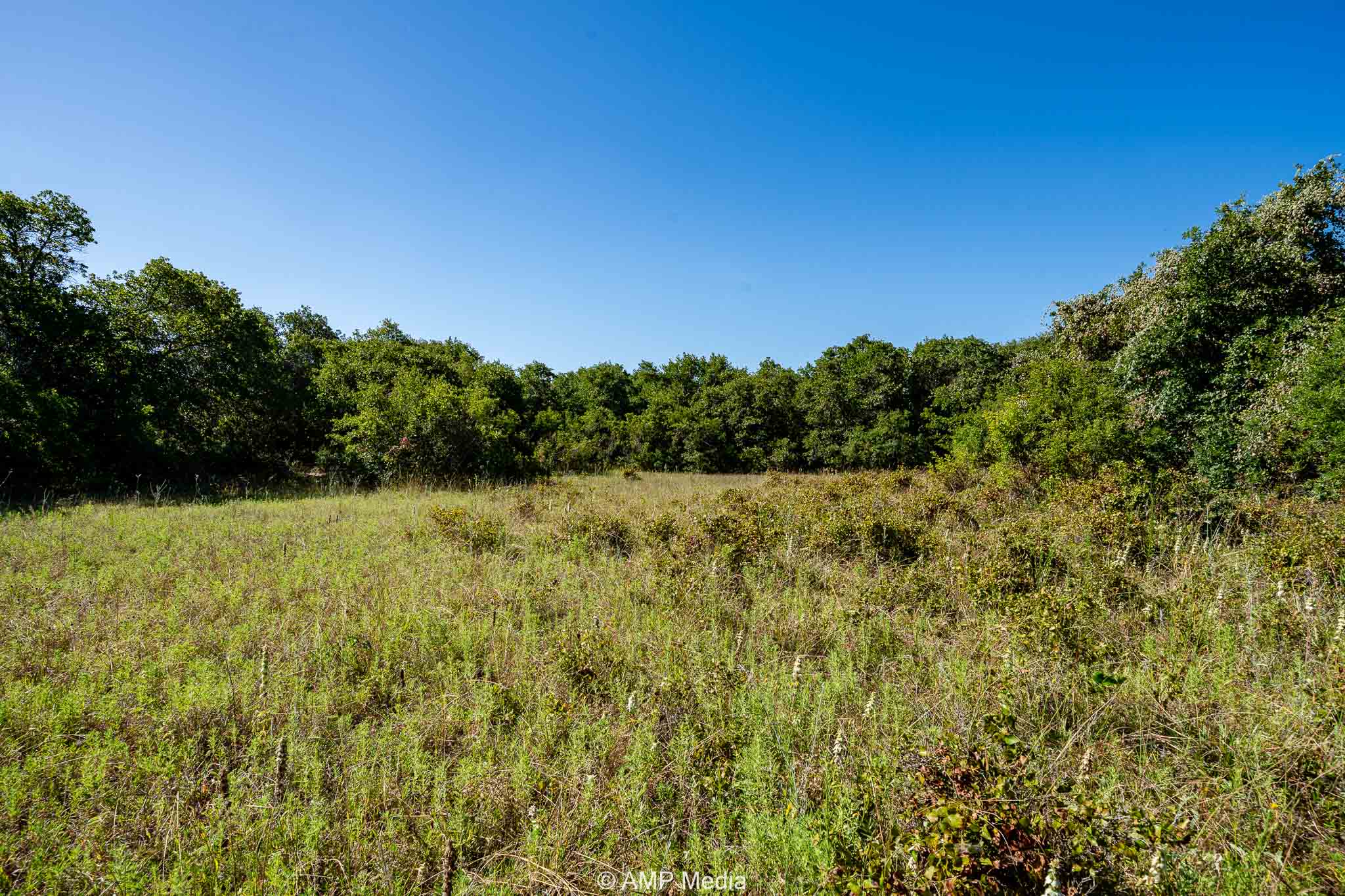 Property Photo 15 Property photograph 15