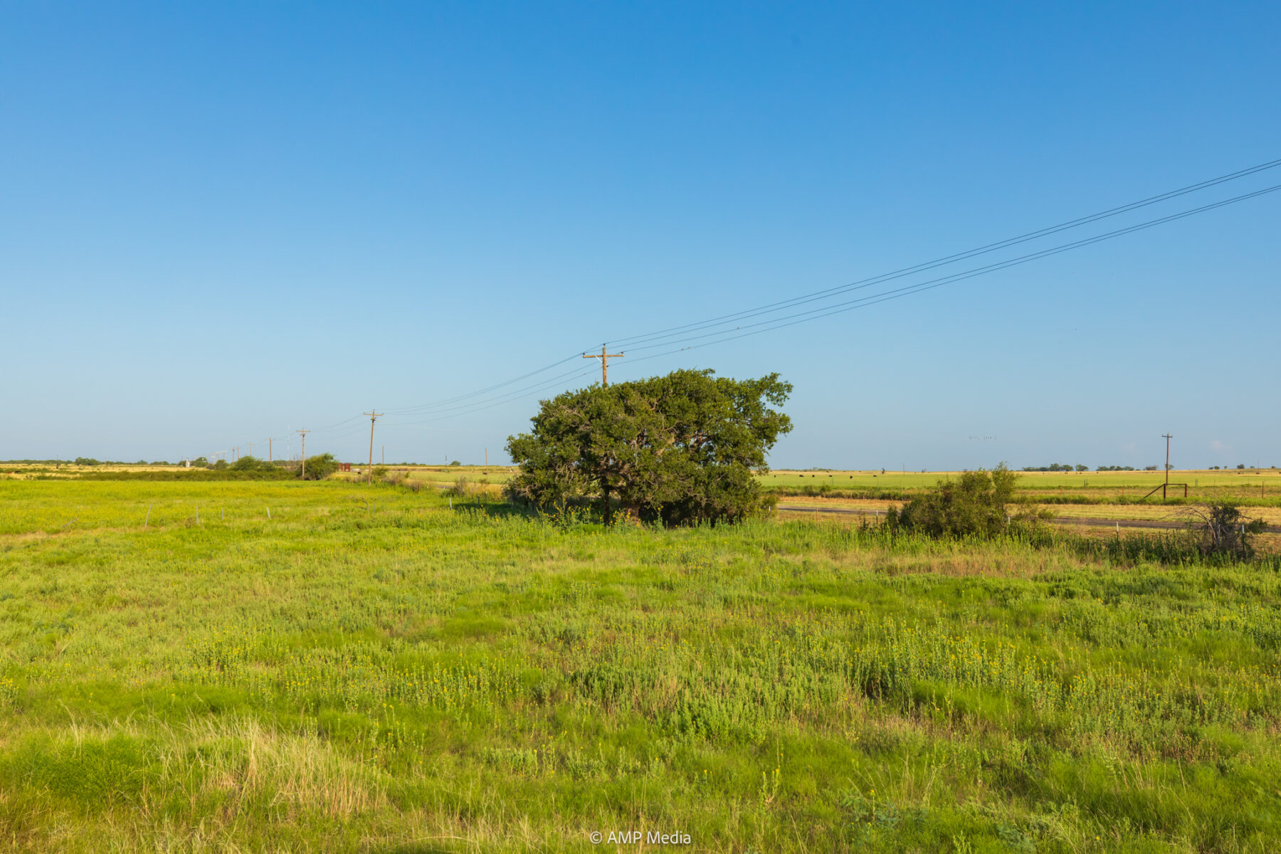 Property Photo 15 Property photograph 15