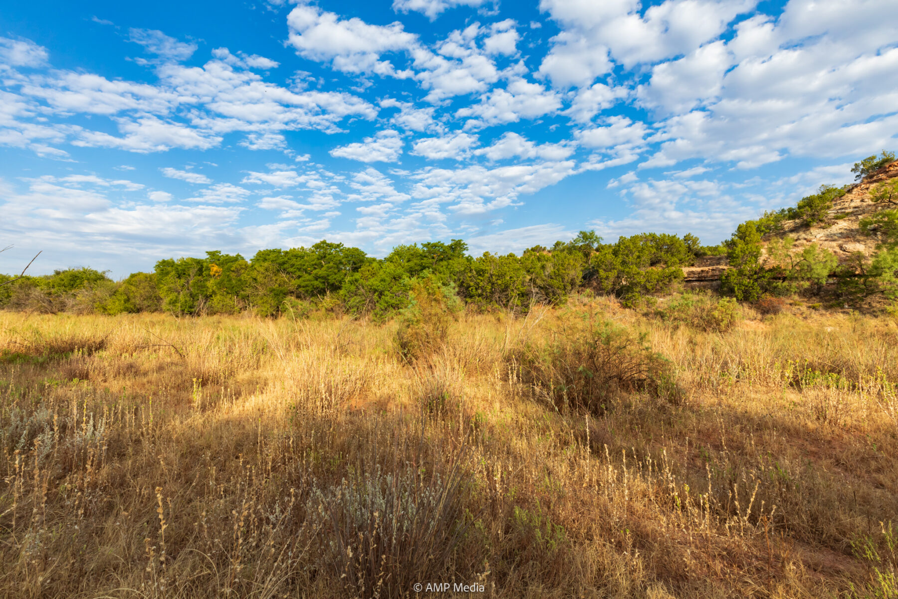 Property Photo 15 Property photograph 15