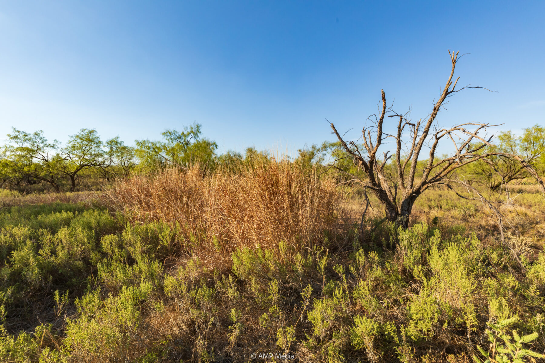 Property Photo 15 Property photograph 15