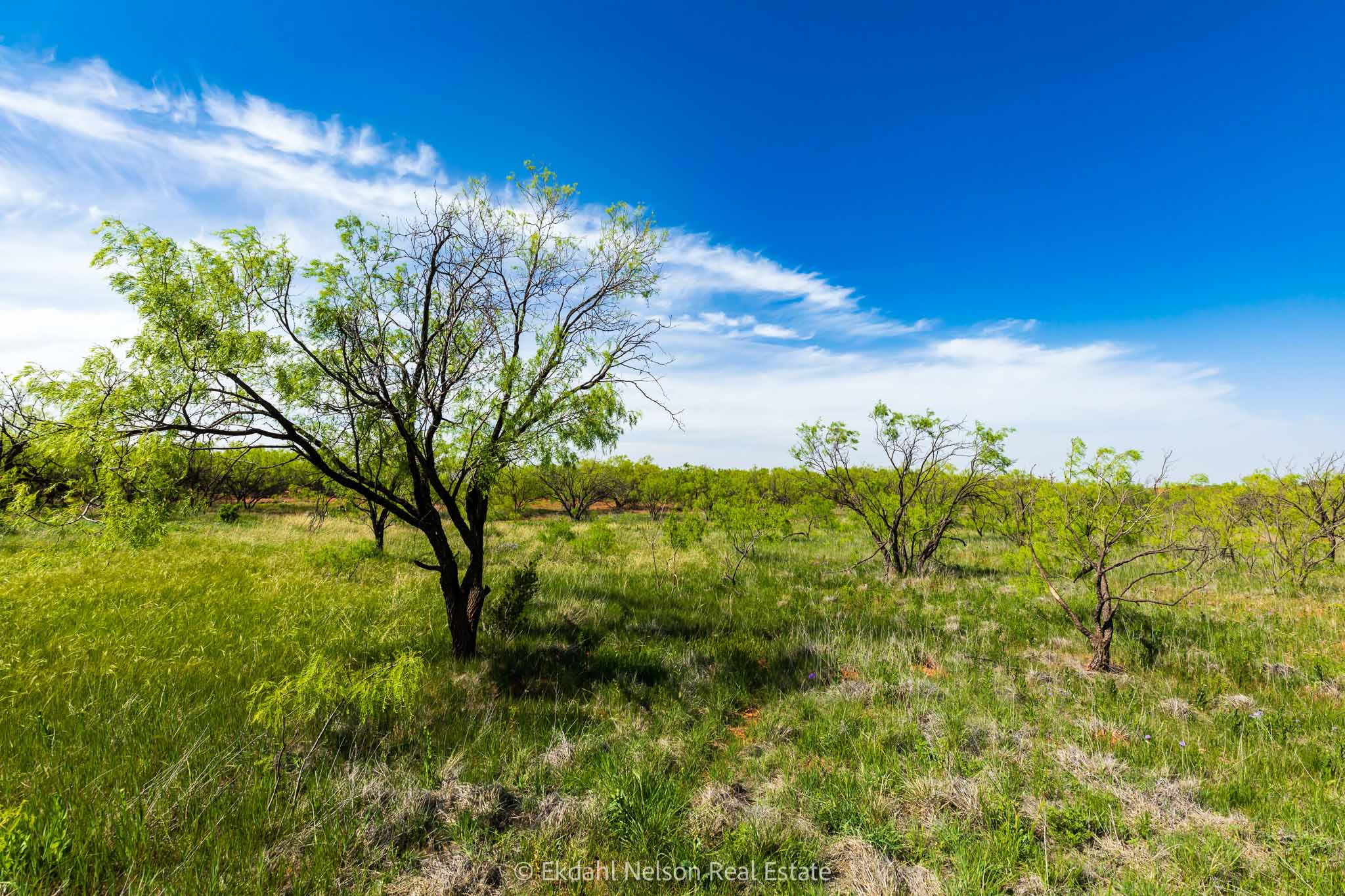 Property Photo 16 Property photograph 16