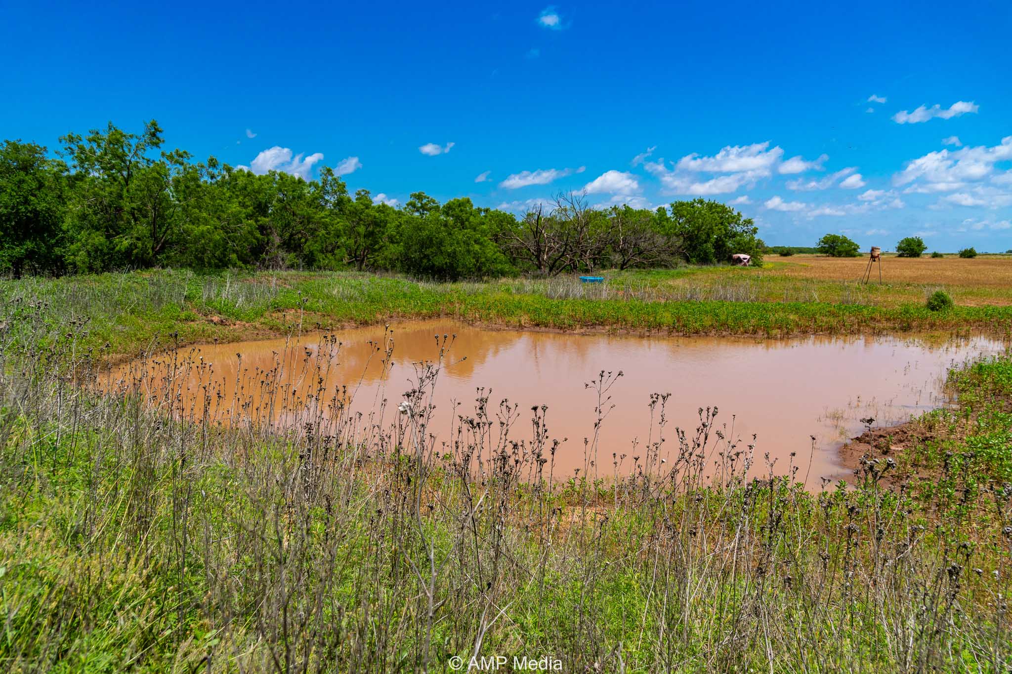 Property Photo 16 Property photograph 16