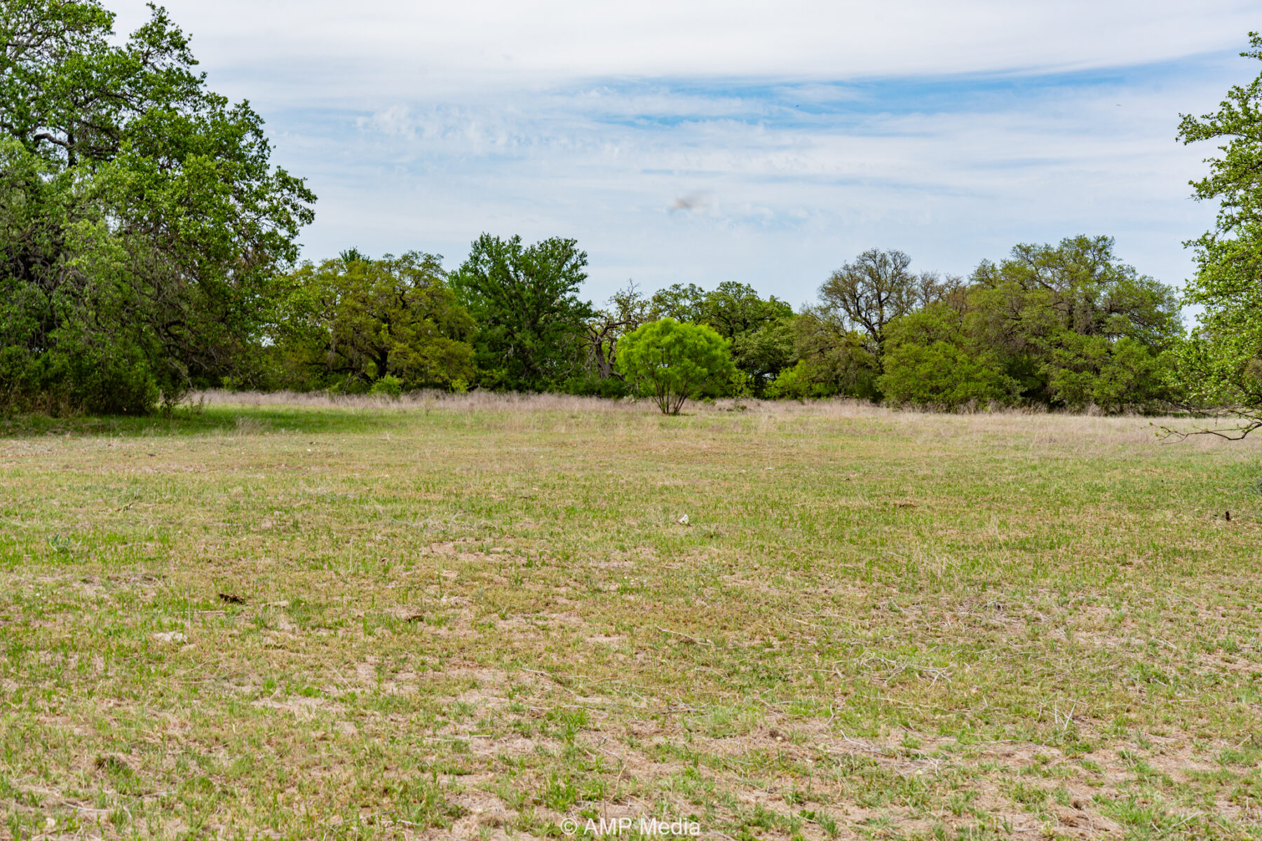 Property Photo 16 Property photograph 16