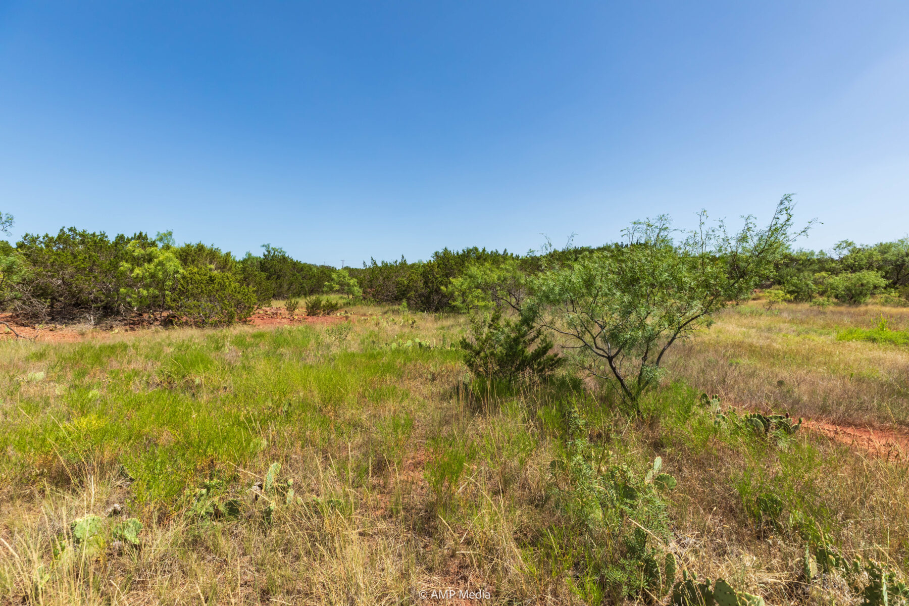 Property Photo 16 Property photograph 16