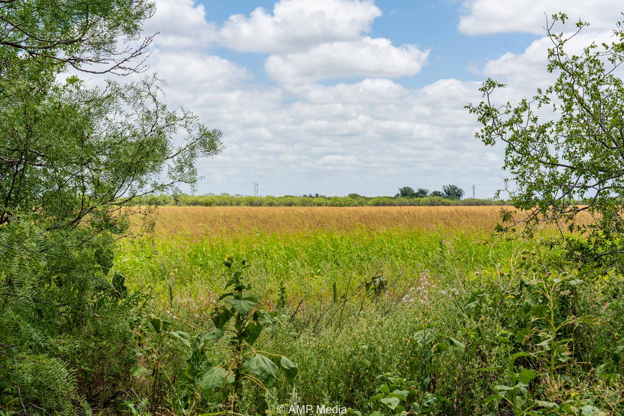 Property Photo 16 Property photograph 16