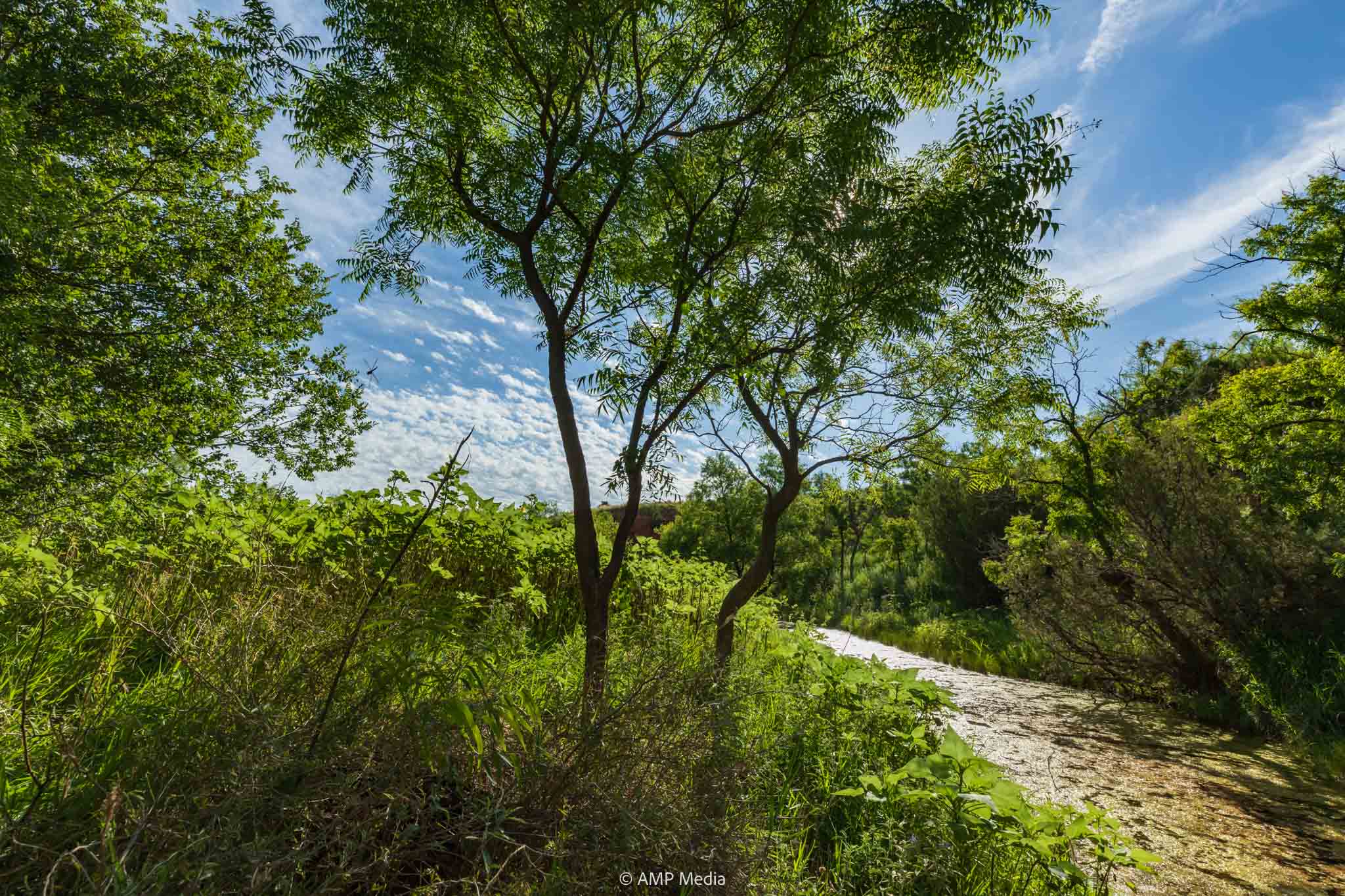 Property Photo 16 Property photograph 16