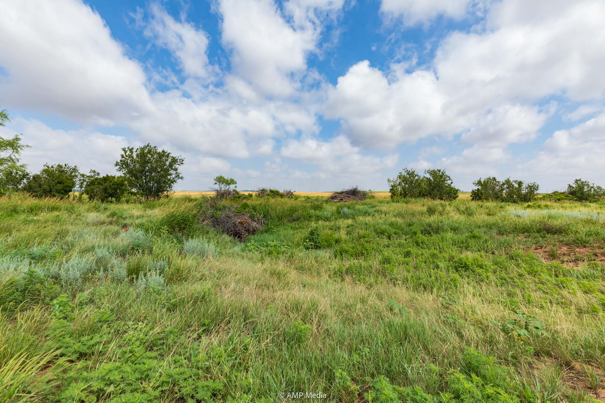 Property Photo 16 Property photograph 16