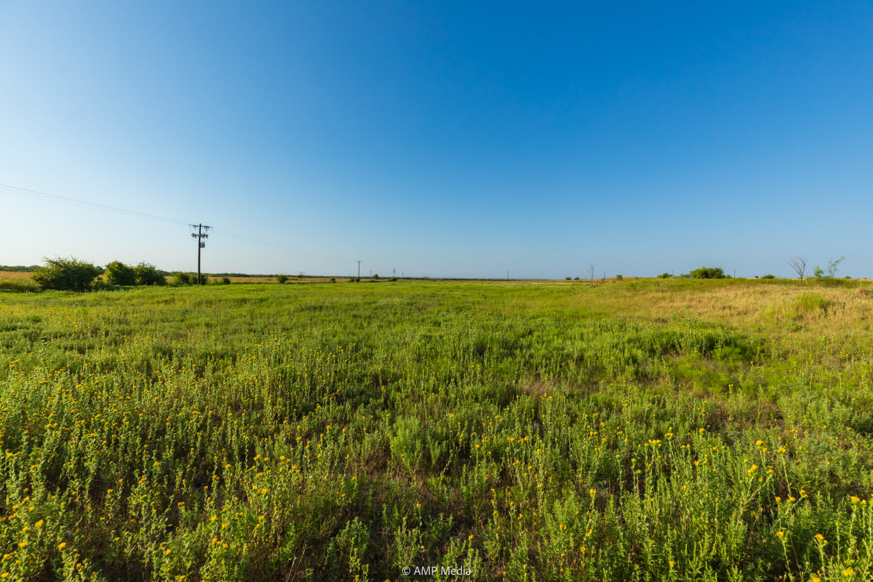 Property Photo 16 Property photograph 16