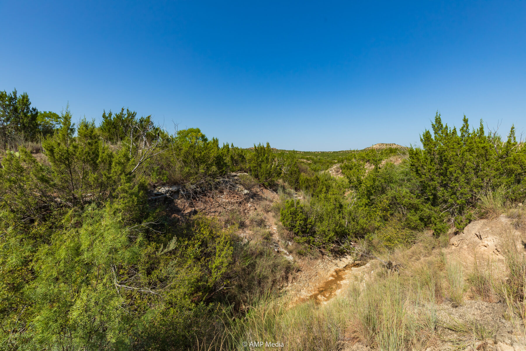 Property Photo 16 Property photograph 16