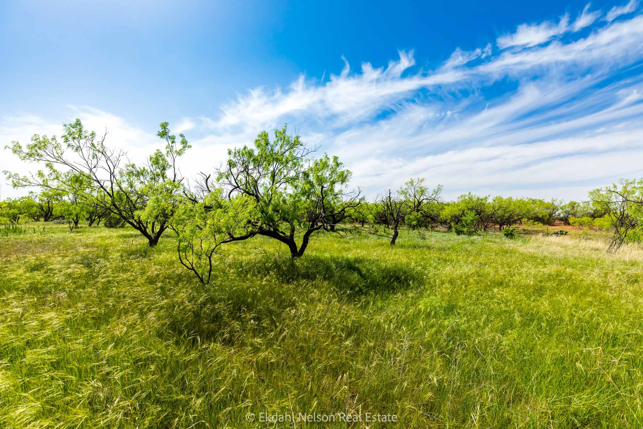 Property Photo 17 Property photograph 17
